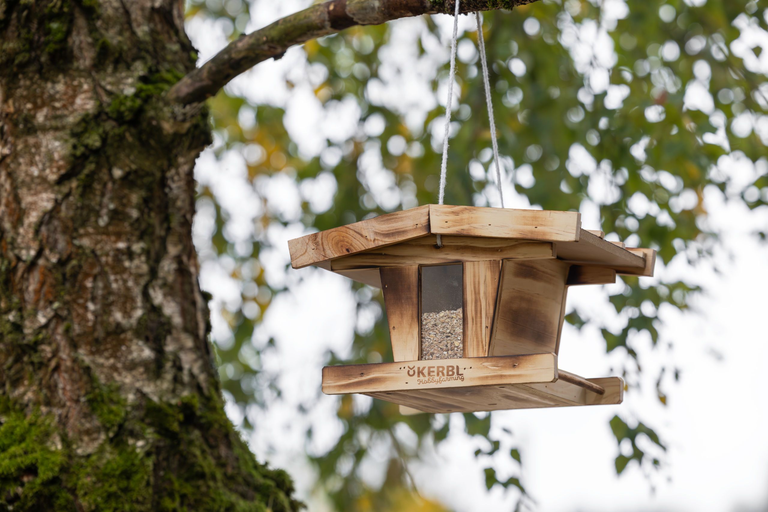 bird feeder, wooden, hanging, tree, seed
