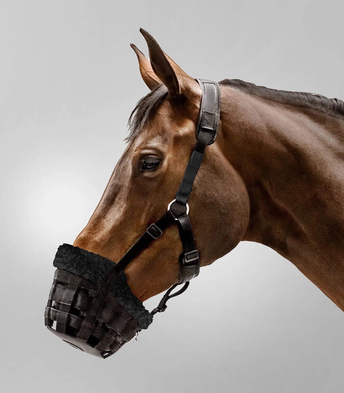 Waldhausen Maulkorb Comfort, schwarz, Pony