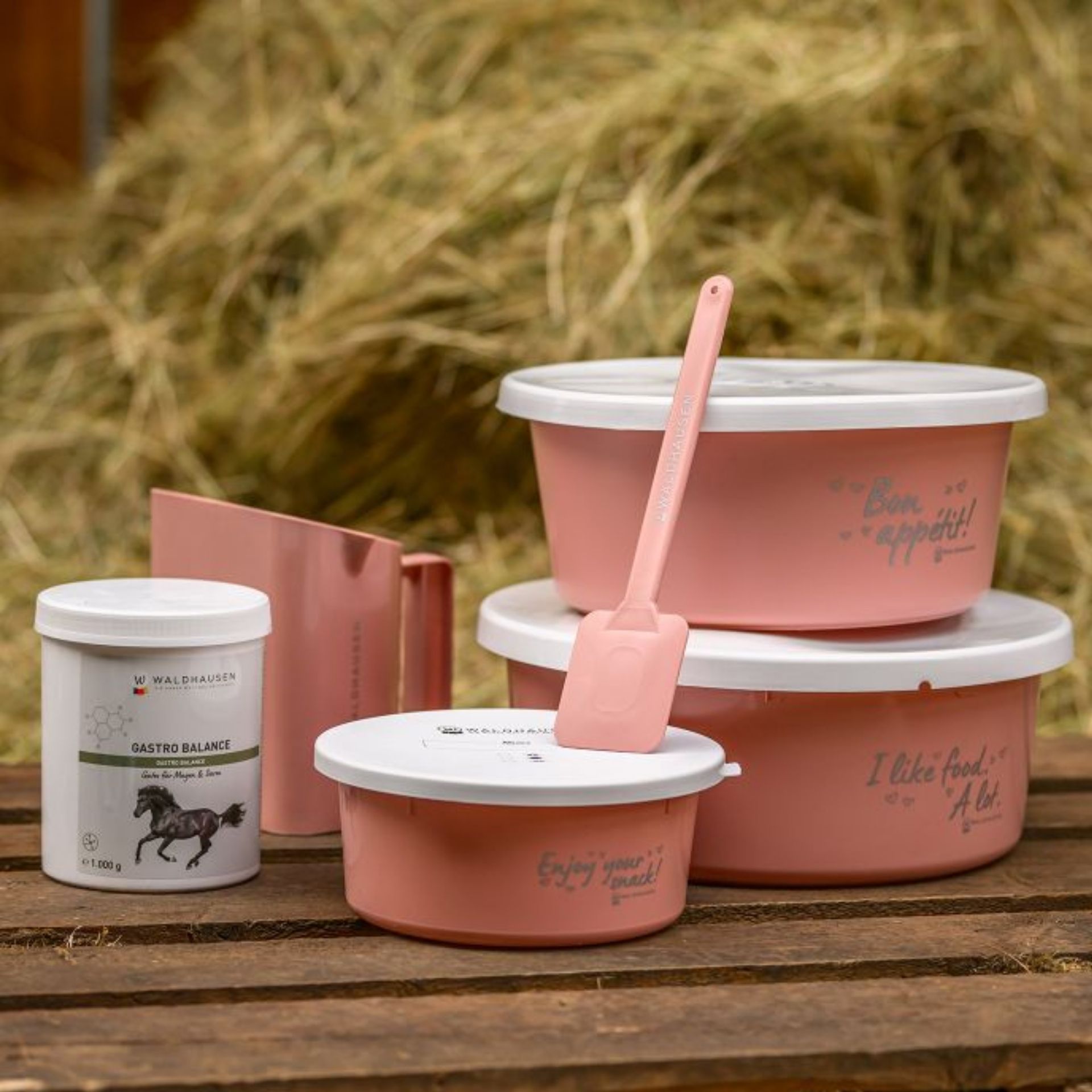pink, cookware, bento, storage, spatula