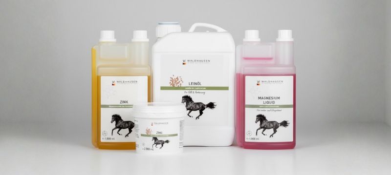 Additional Feed Horse