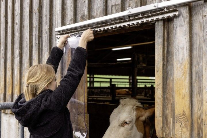 Kerbl Befestigungssystem PVC Streifenvorhang zum Schieben, im Einsatz, im Stall