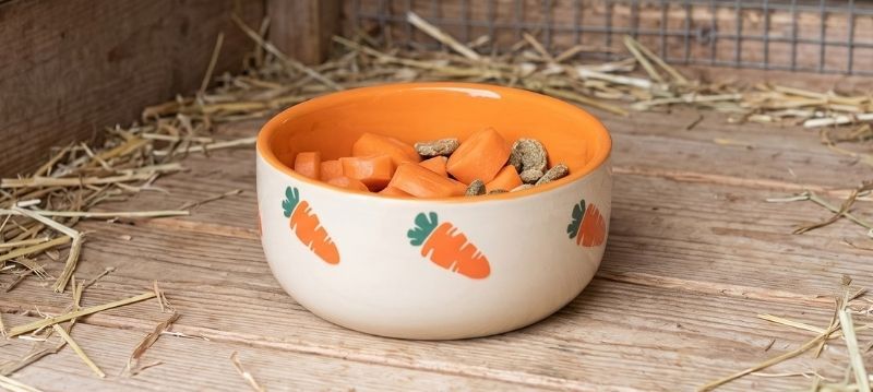 Feeding Bowl