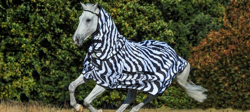 Bucas Fly Rugs
