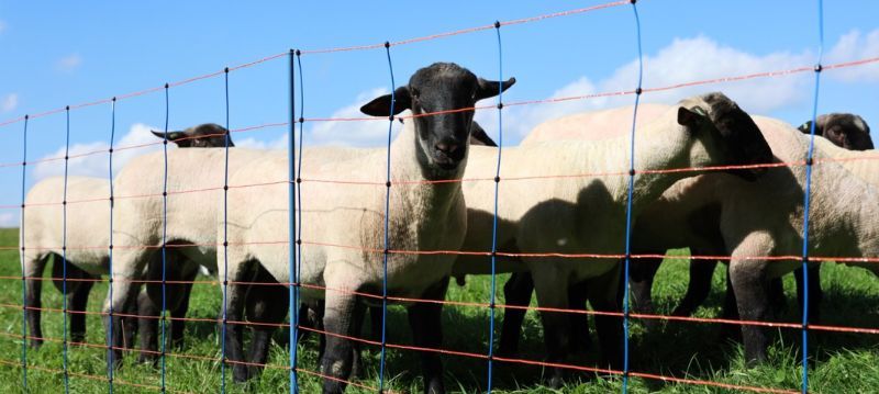 AKO Electric Fence Nets