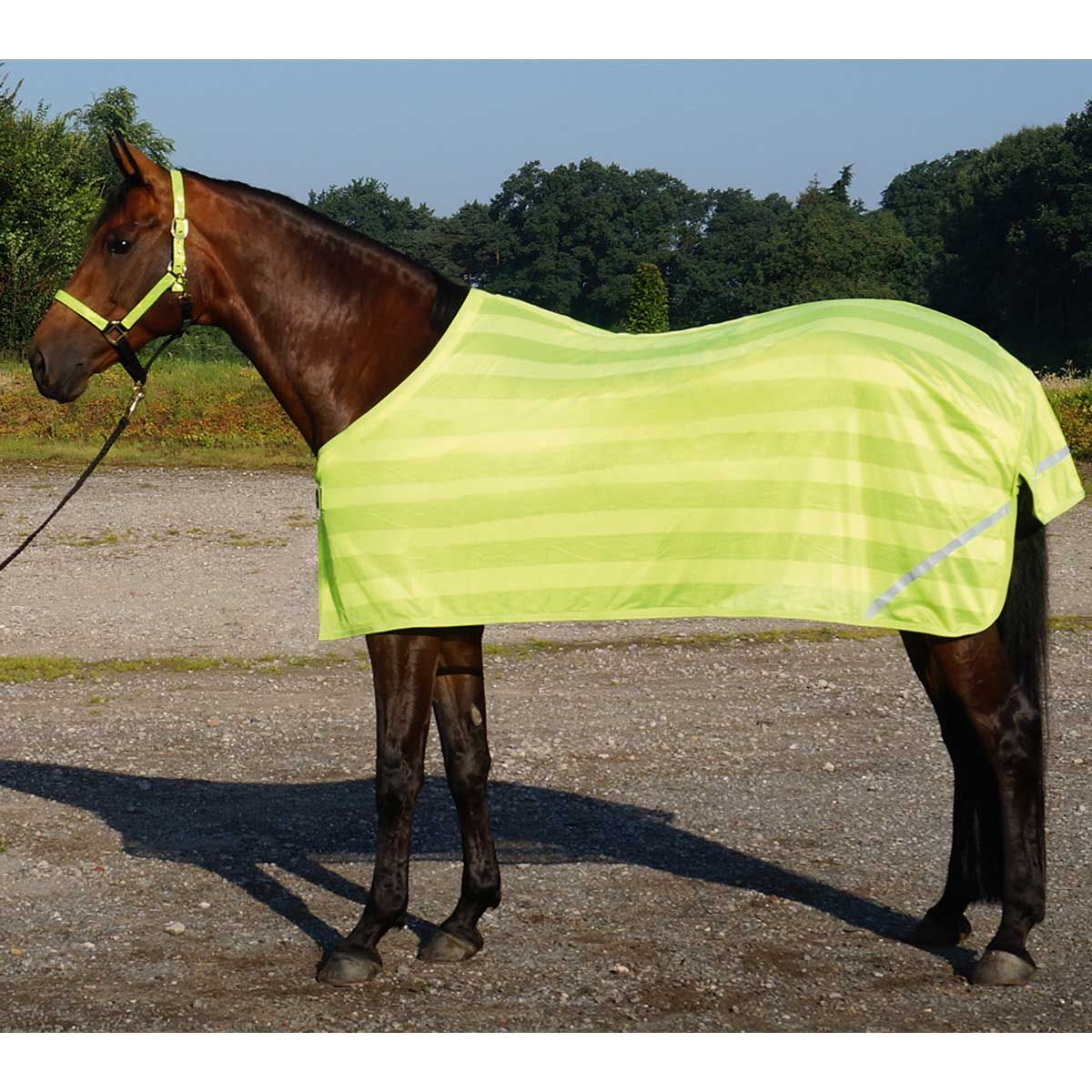 BUSSE Coperta leggera riflettente REFLECTION 155 cm