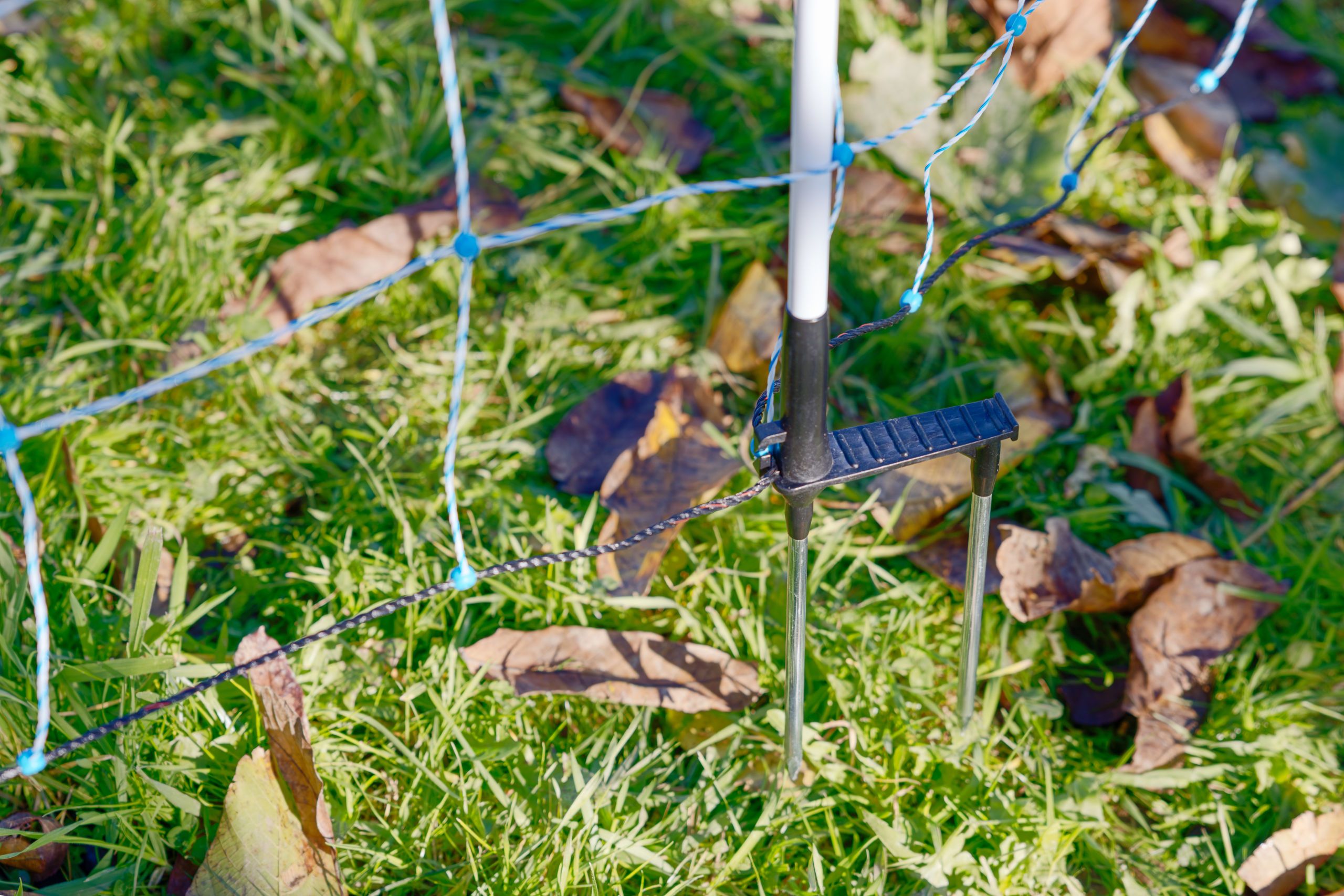 garden, wire fence, stakes, ground stake, screw-in legs