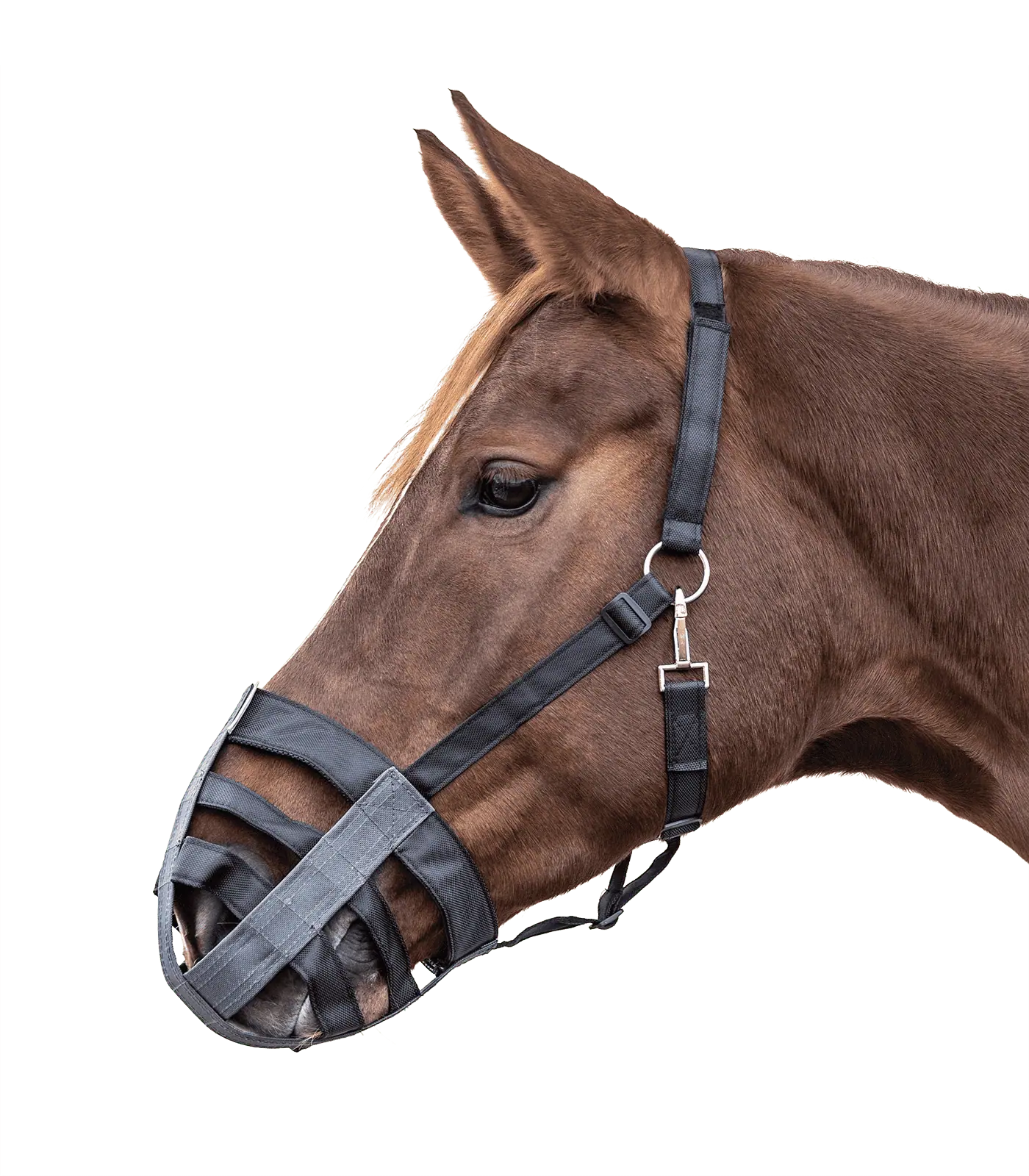 Waldhausen Maulkorb Textil, schwarz-grau, Pony