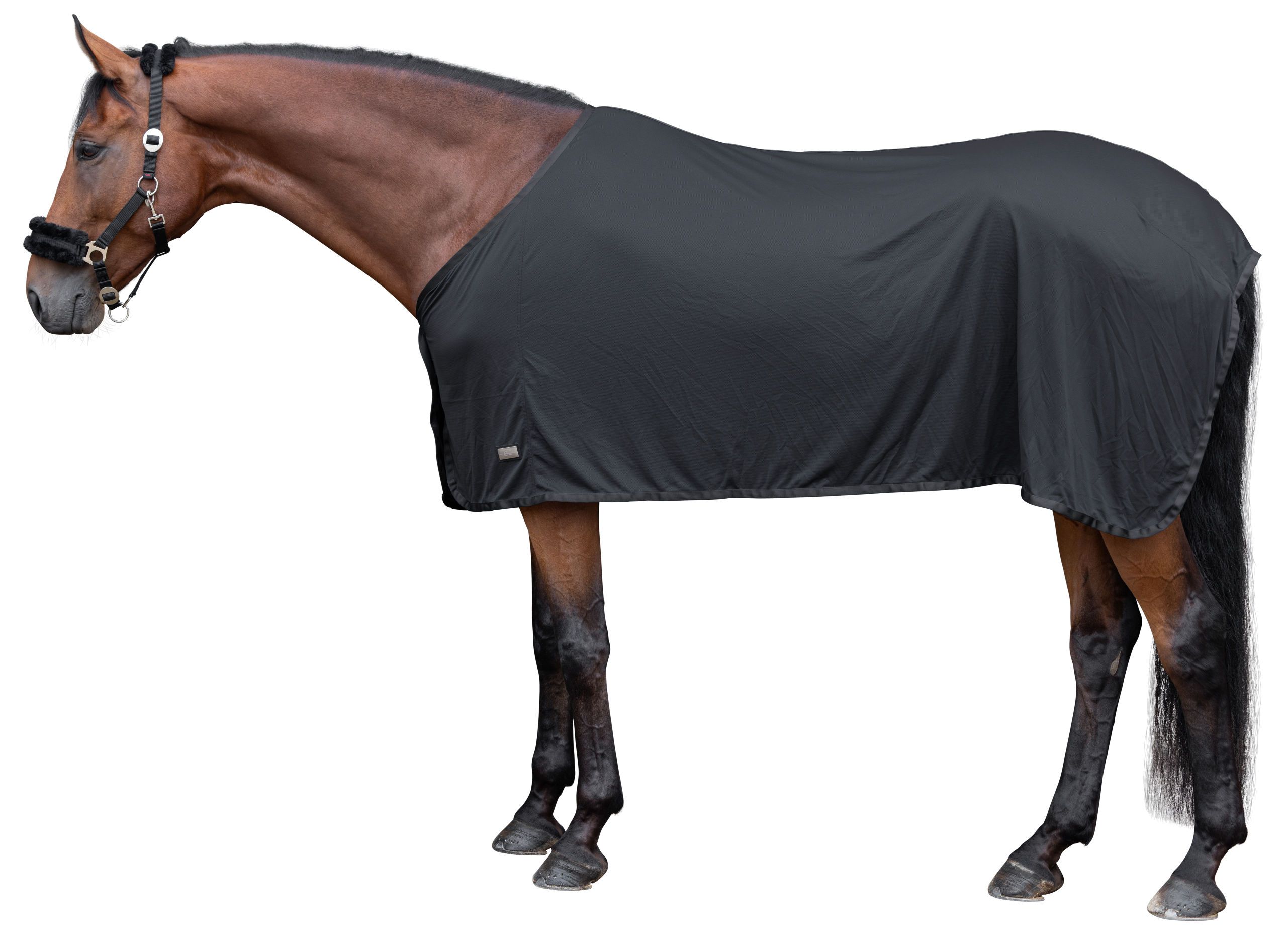 horse blanket, fly sheet, weatherproof, gray, tack accessory