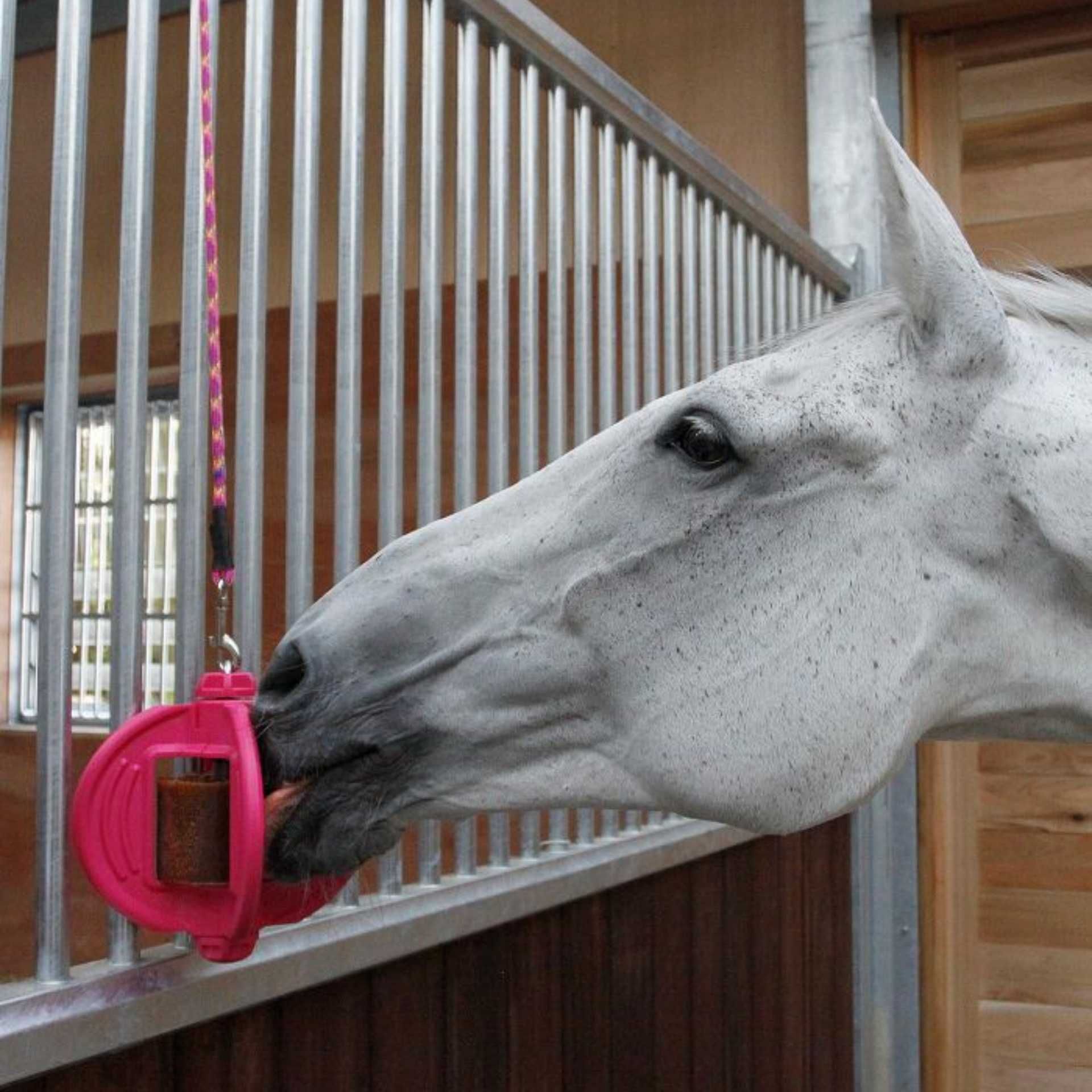 Bizzy Horse Bizzy Ball – Leckstein-Spielzeug für Pferde mit Pfefferminzduft, Pink
