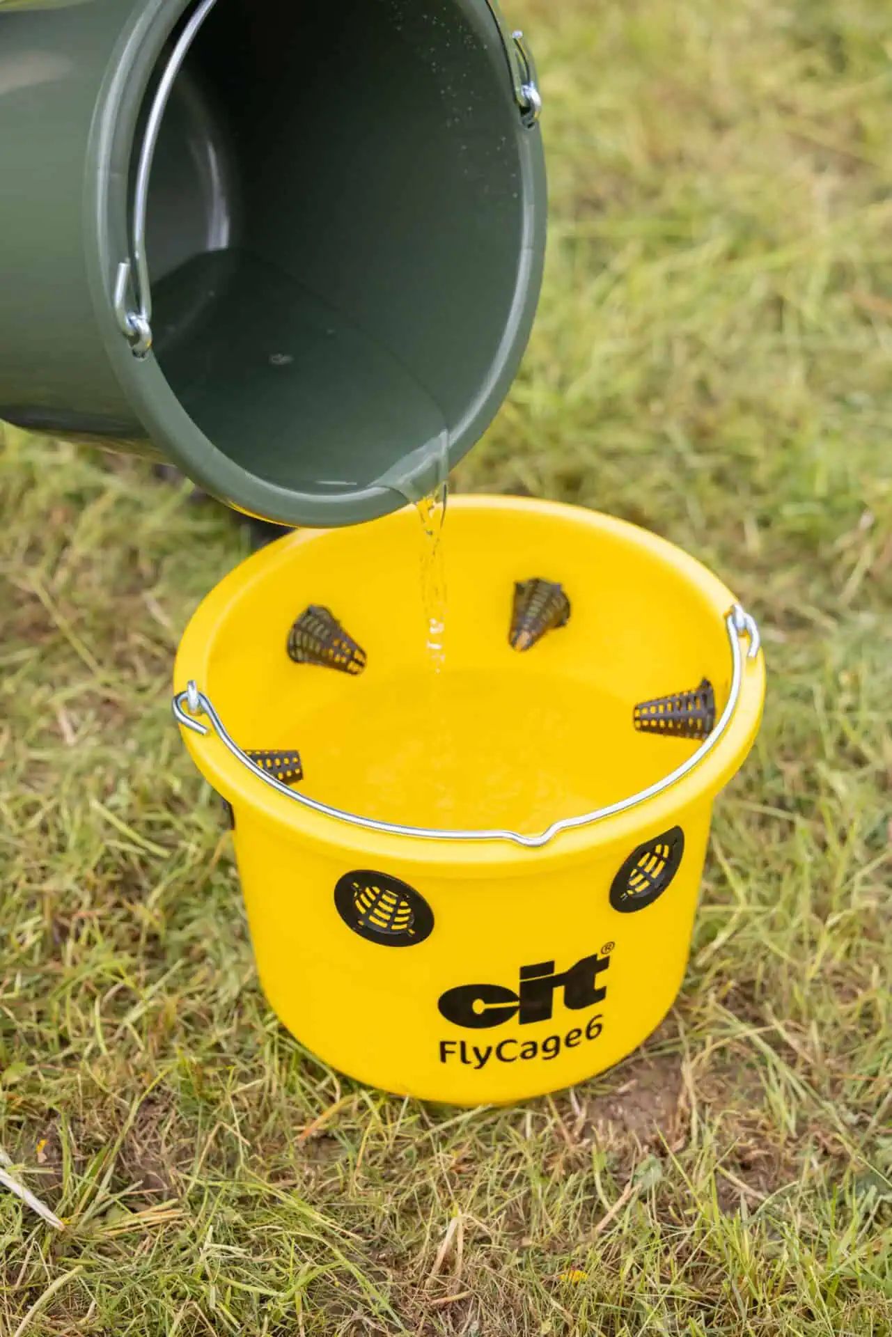 cit Fly Trap FlyCage6 for Pasture and Garden incl. Attractant, application example