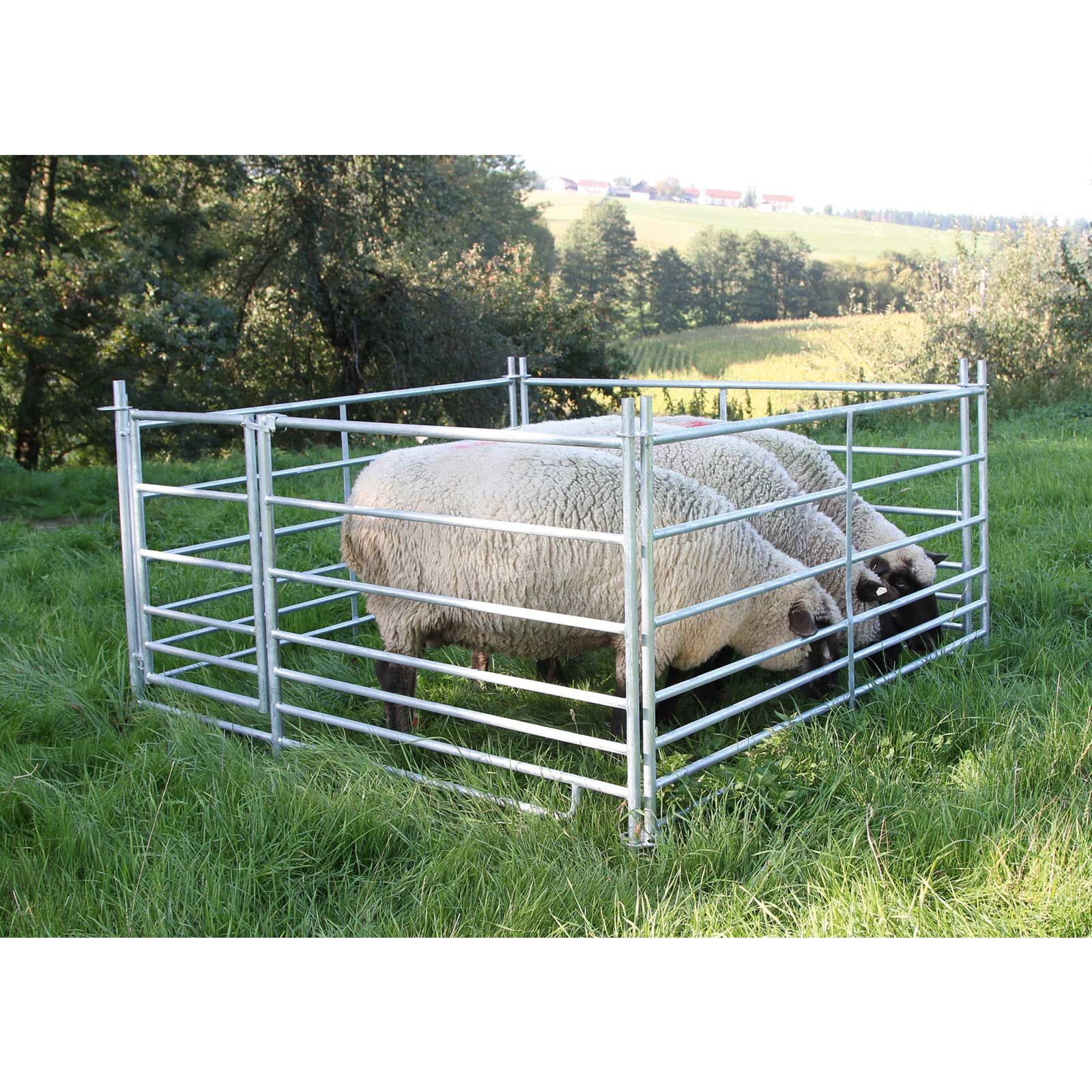 AKO Barrières modulaires pour moutons galvanisées, sans outil, 1,83 x 0,92 m