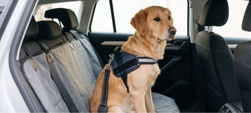 Car Accessories