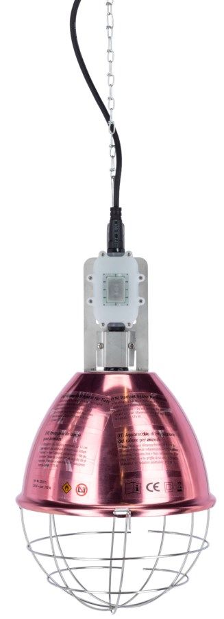 industrial pendant, metal housing, rose gold, protective cage, ceiling light