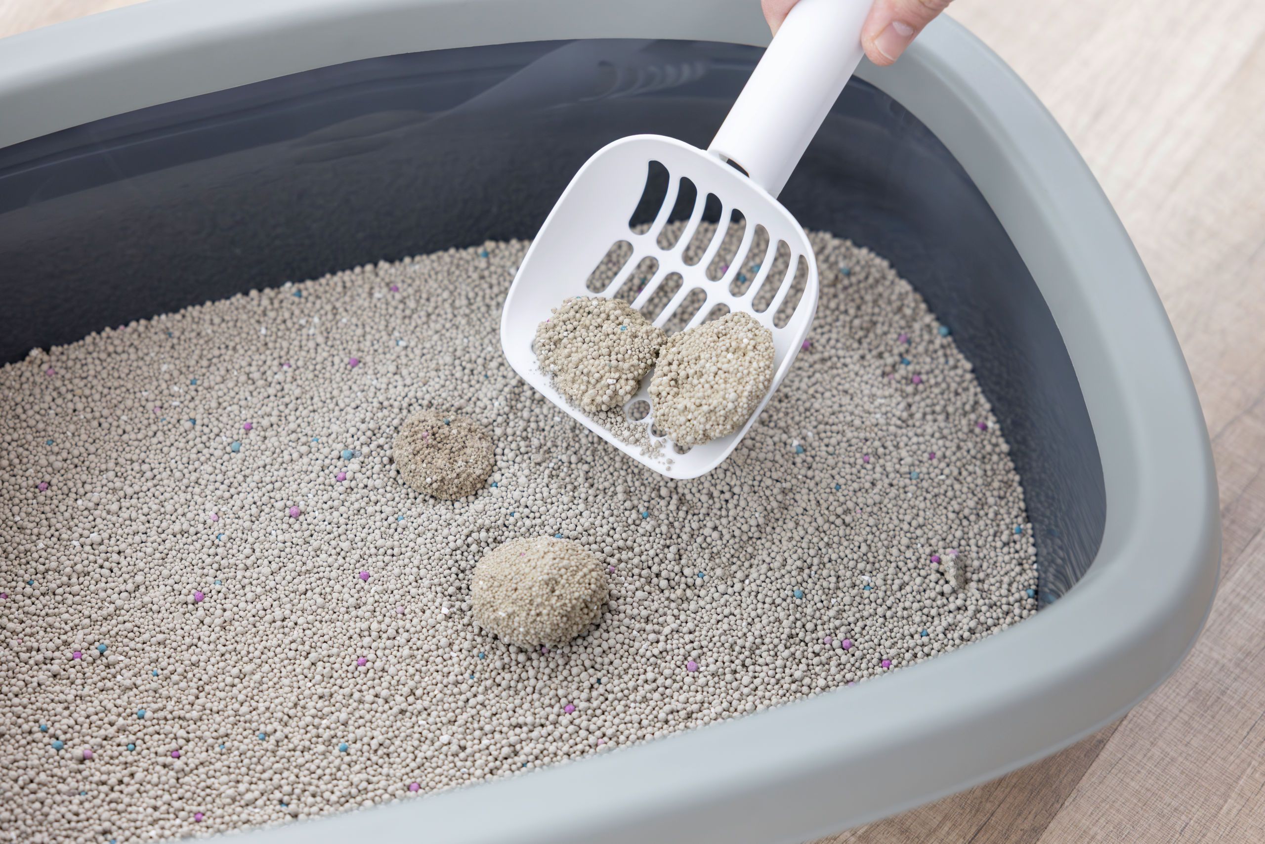 Kerbl Katzenstreu Bentonit 6 l, klumpend und staubarm