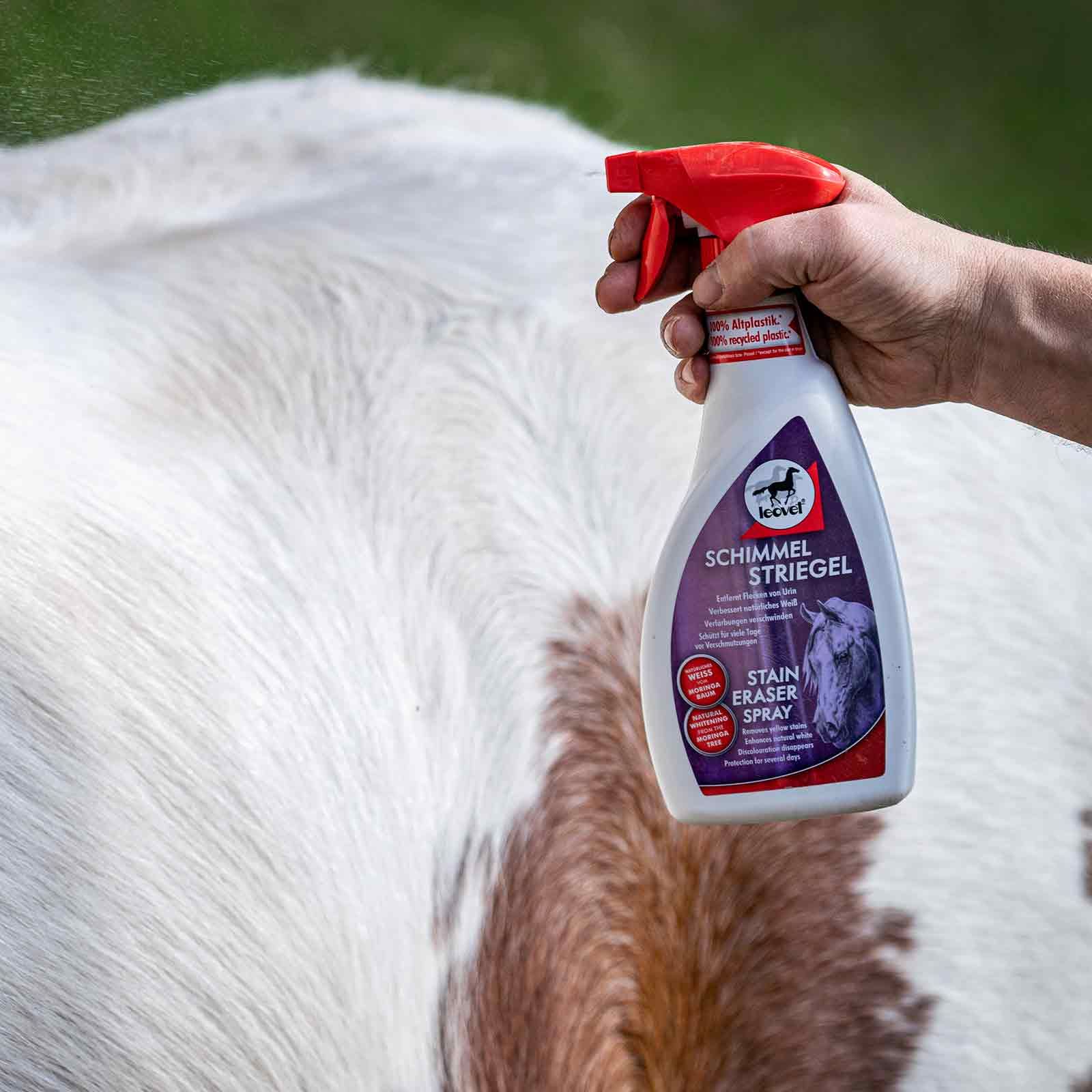 Leovet Schimmel Striegel spray de curățare pentru cai, 550 ml, în utilizare