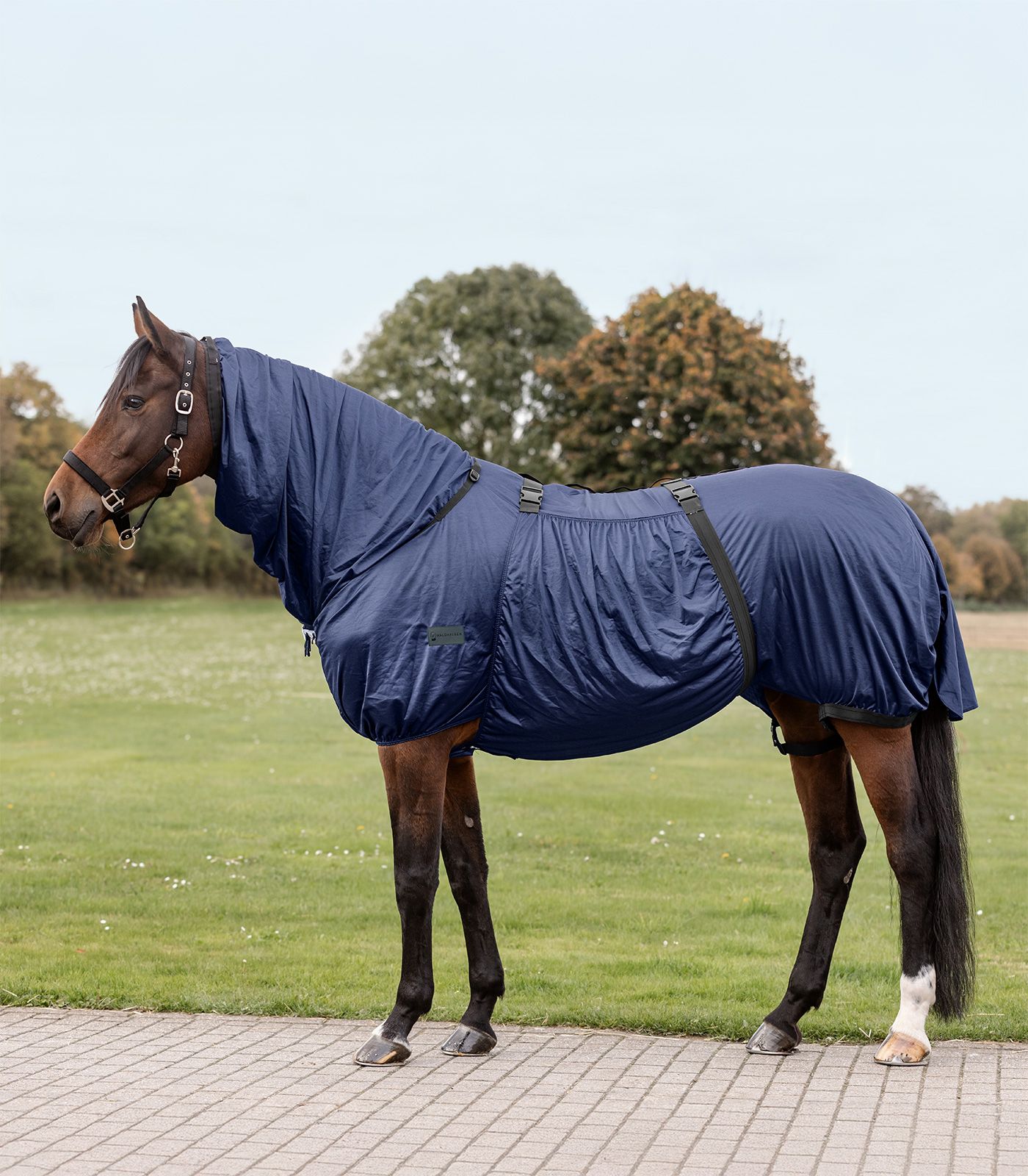 Waldhausen Couverture anti-eczéma Basic, 115 cm, bleu nuit