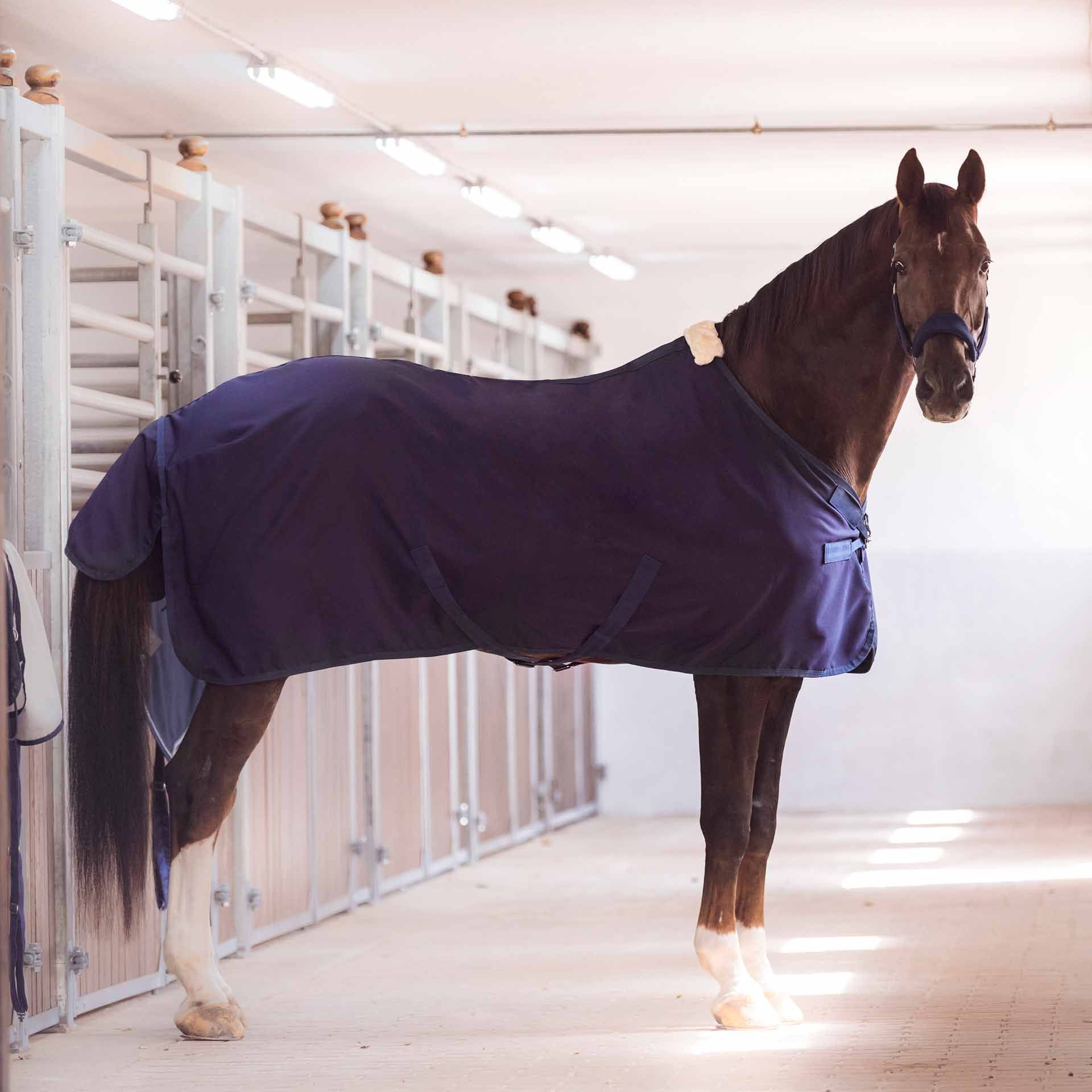 BUSSE nyári szőnyeg EARLY SEASON 115 navy