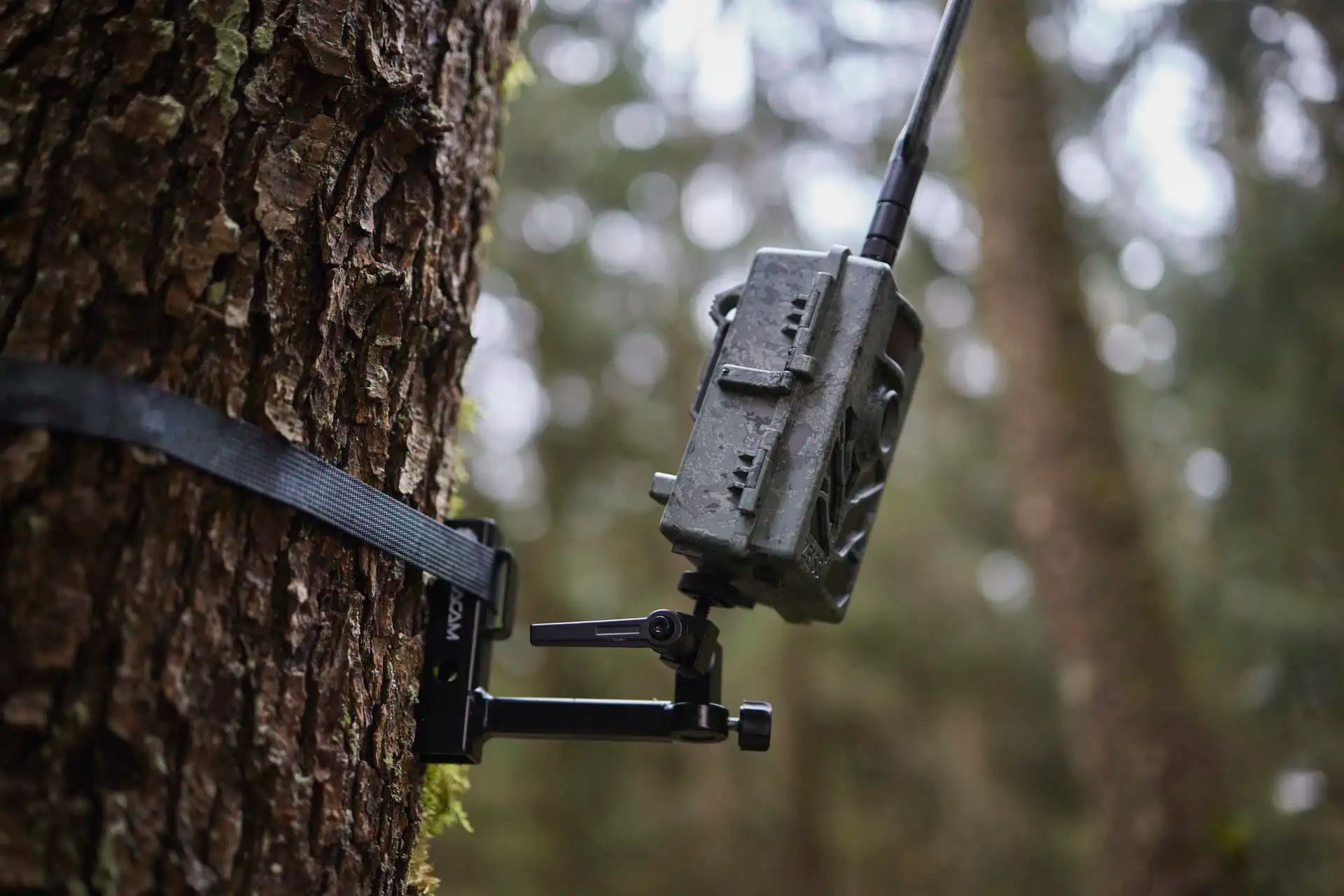 Caméra de chasse Zeiss Secacam 5 Twin Pack, 2 caméras, LTE, en utilisation, support