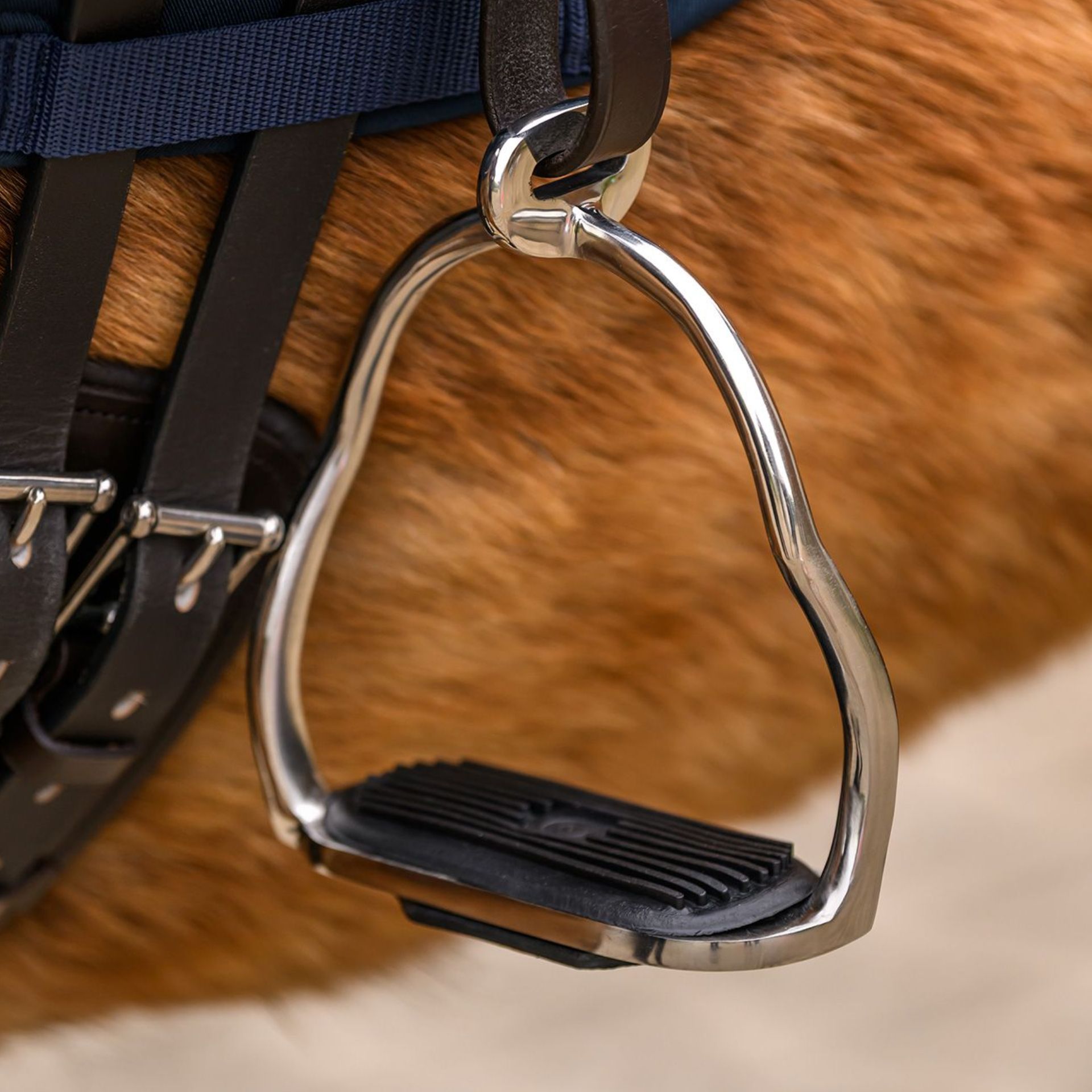 horse tack, bit/bridle, stirrup, metal buckle, leather strap