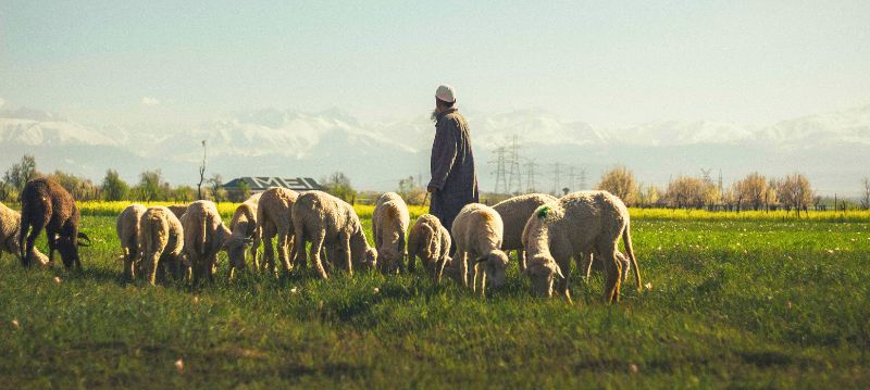 Vêtements et accessoires de berger