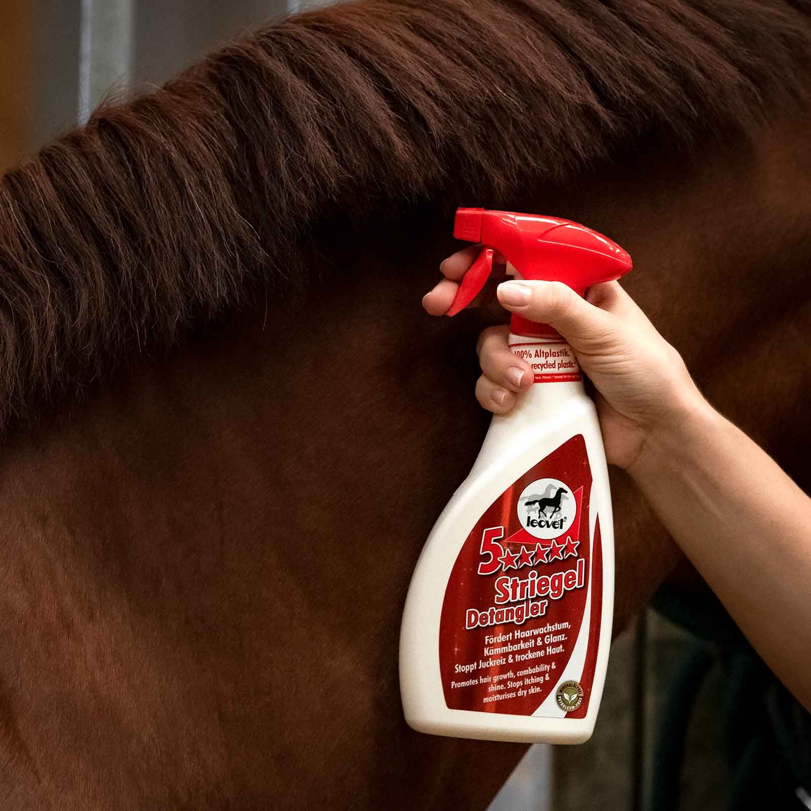 Leovet 5-Sterne Striegel Mähnenspray für Pferde, 550 ml, Anwendungsbeispiel, in der Hand
