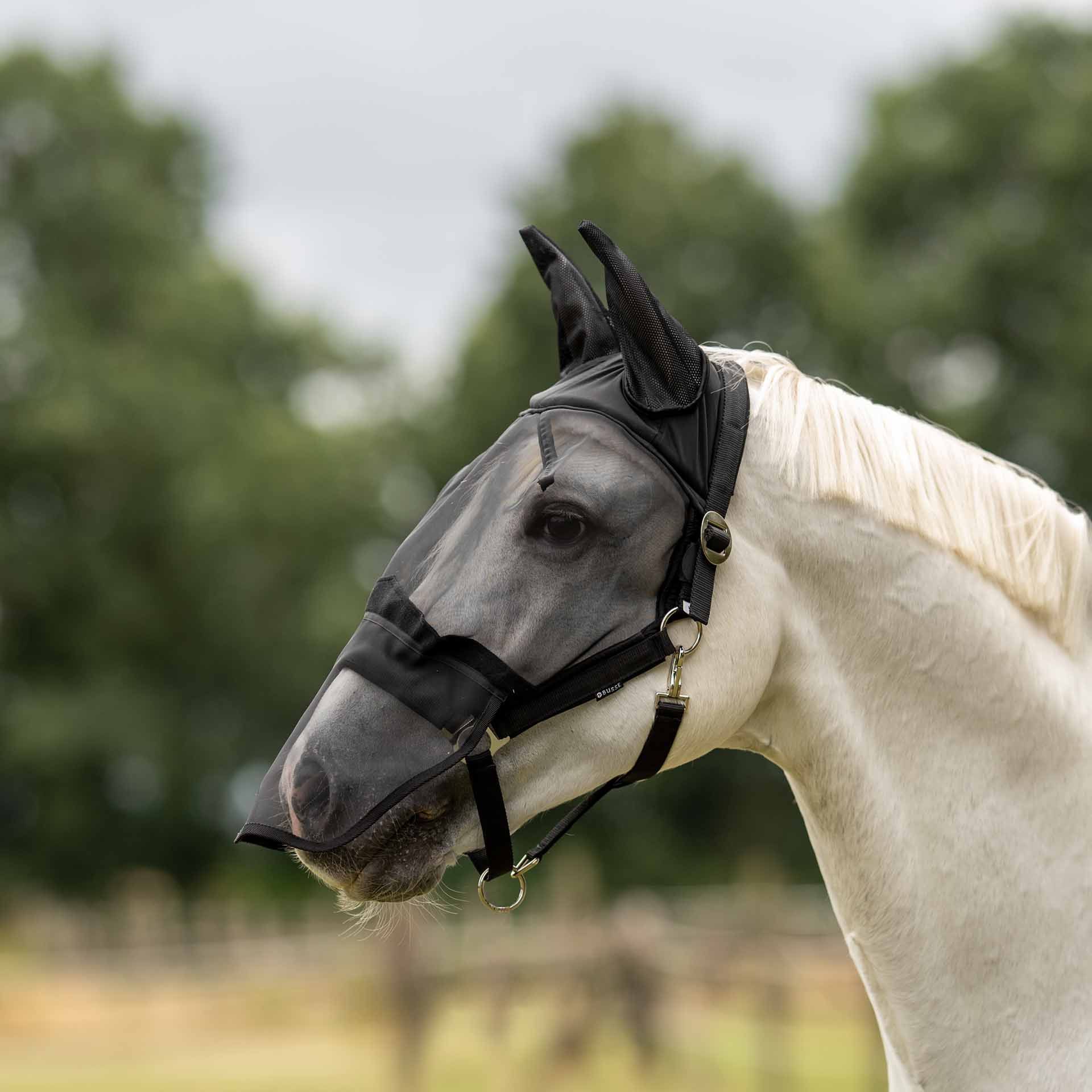 Licol anti-mouches BUSSE FAST PLUS, protection yeux/oreilles/naseaux, en utilisation