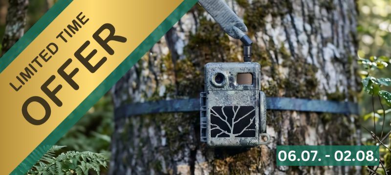 Semaines promotionnelles sur les caméras de surveillance