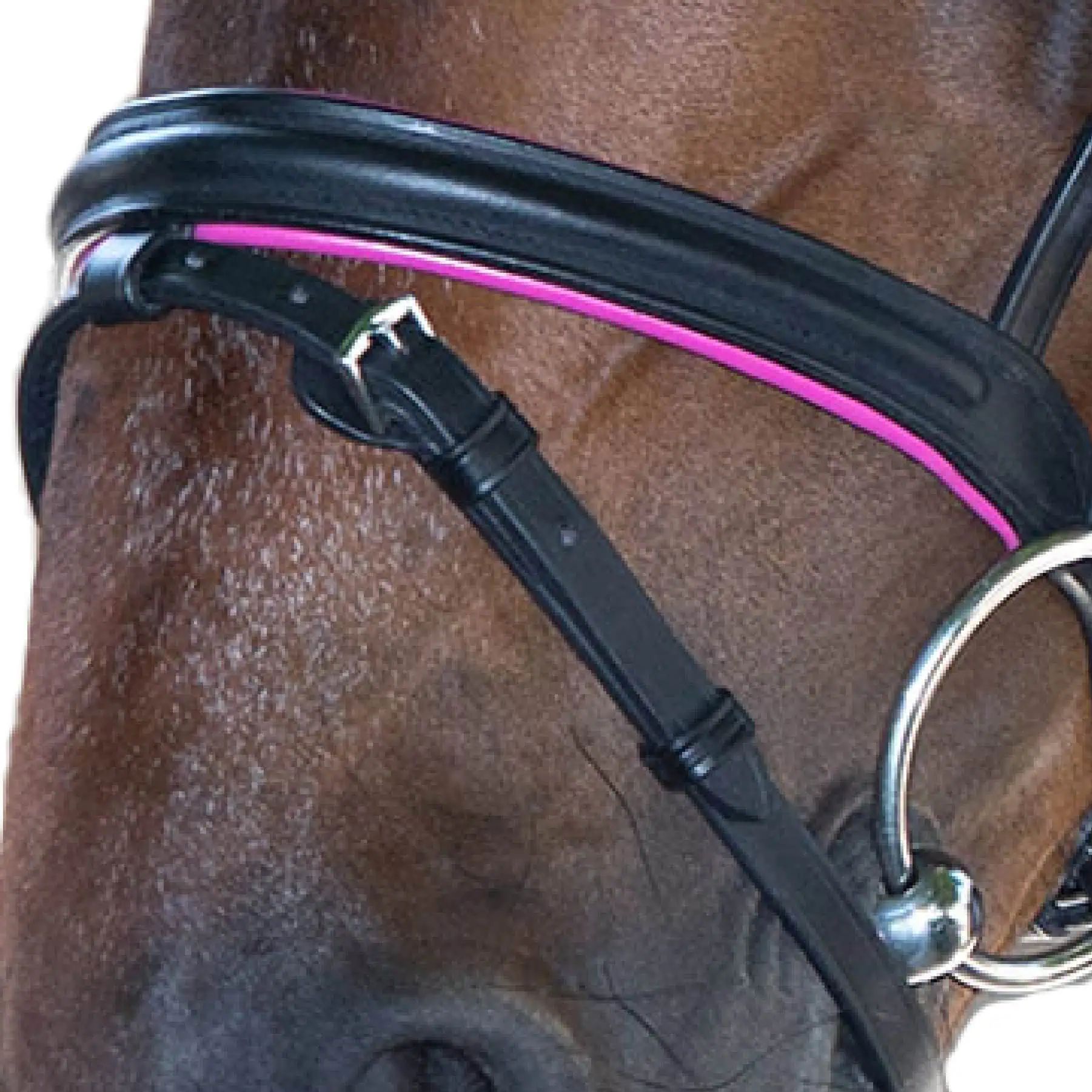 Bridon STAR Diamond, combiné anglais avec muserolle et chaînette, FULL, fuchsia