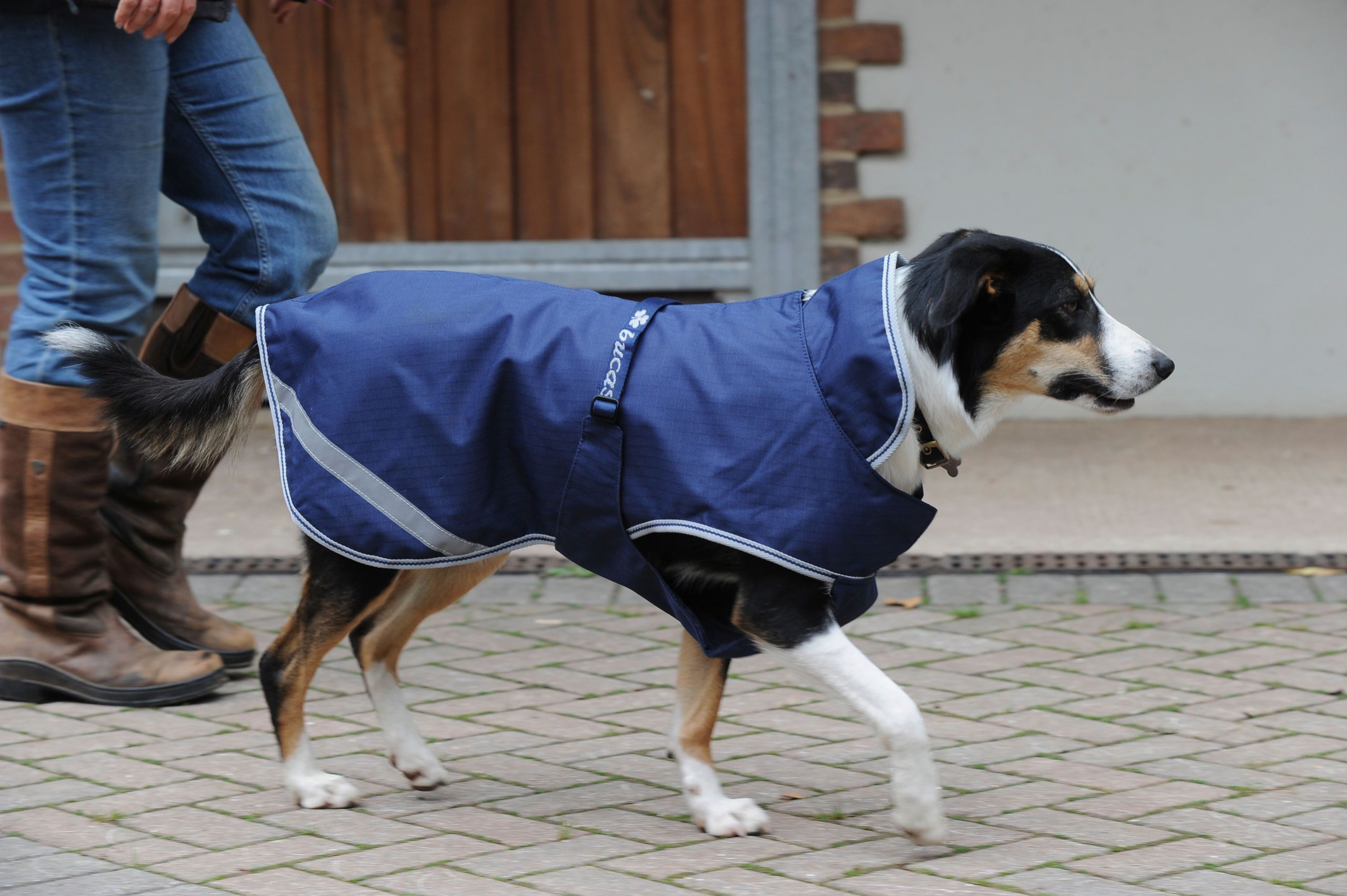 Bucas Freedom Dog Rug 50 Hundemantel wasserdicht, navy