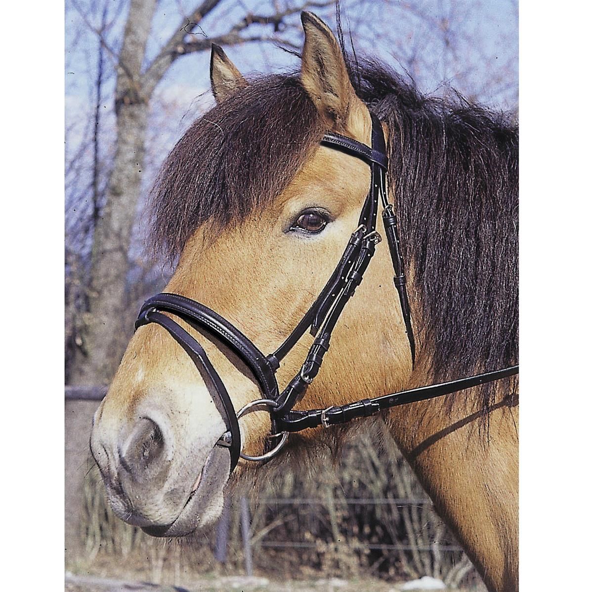 Covalliero Trensenzaum Standard Leder mit Sperrriemen, handgenäht, braun, Pony