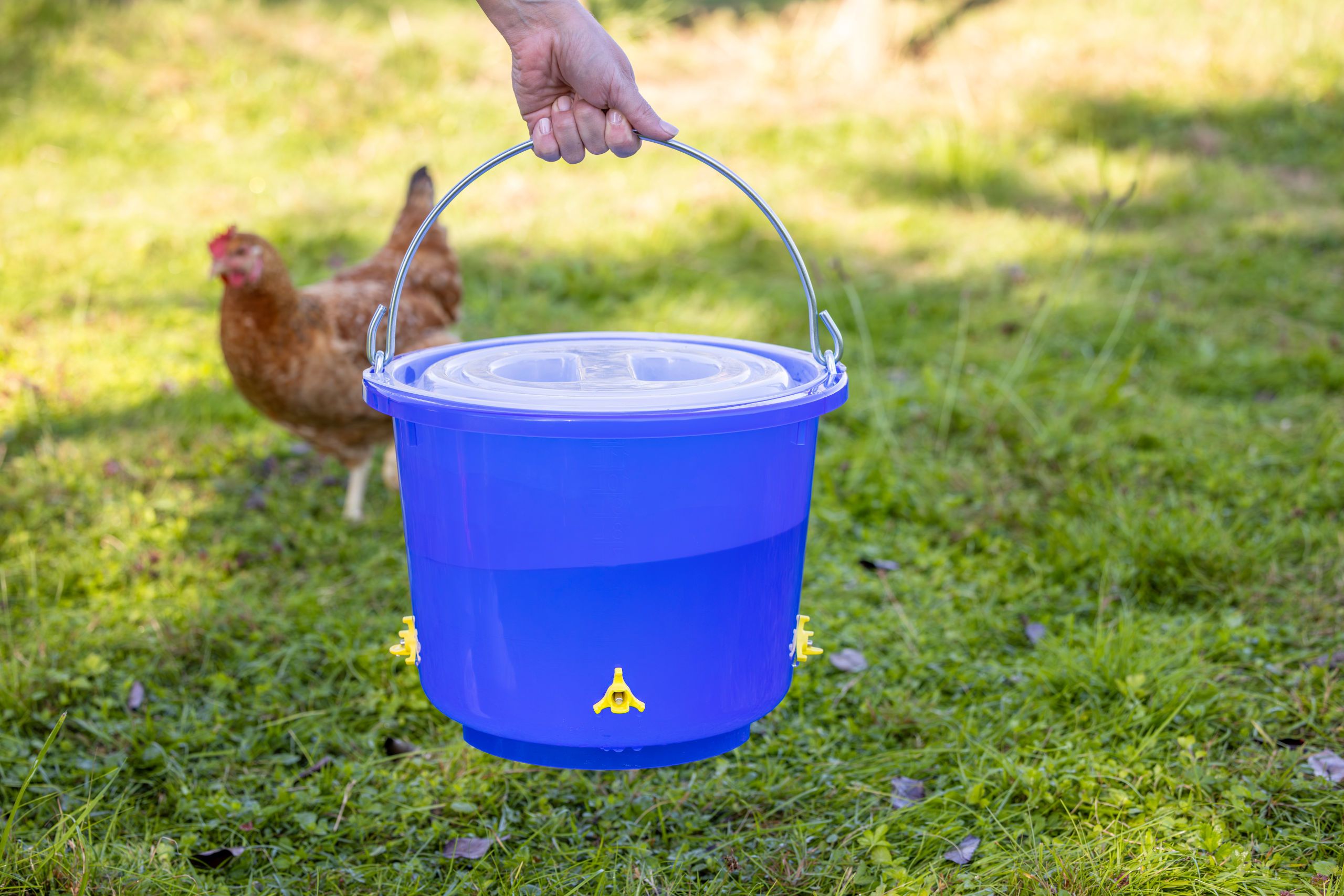 bucket, blue, plastic, lid, handle