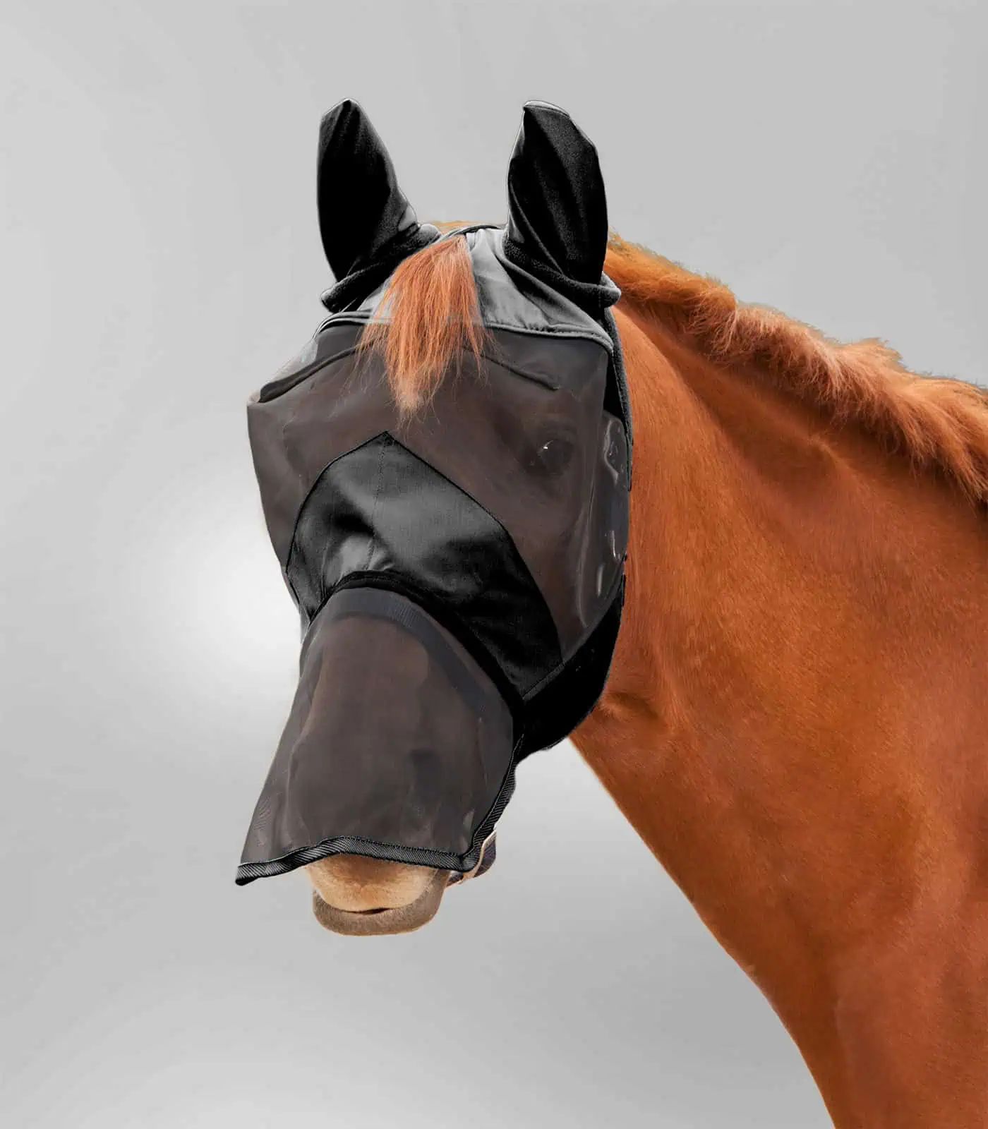 Waldhausen Masque Anti-Mouches Premium avec Protection Oreilles et Nez, noir, Cob