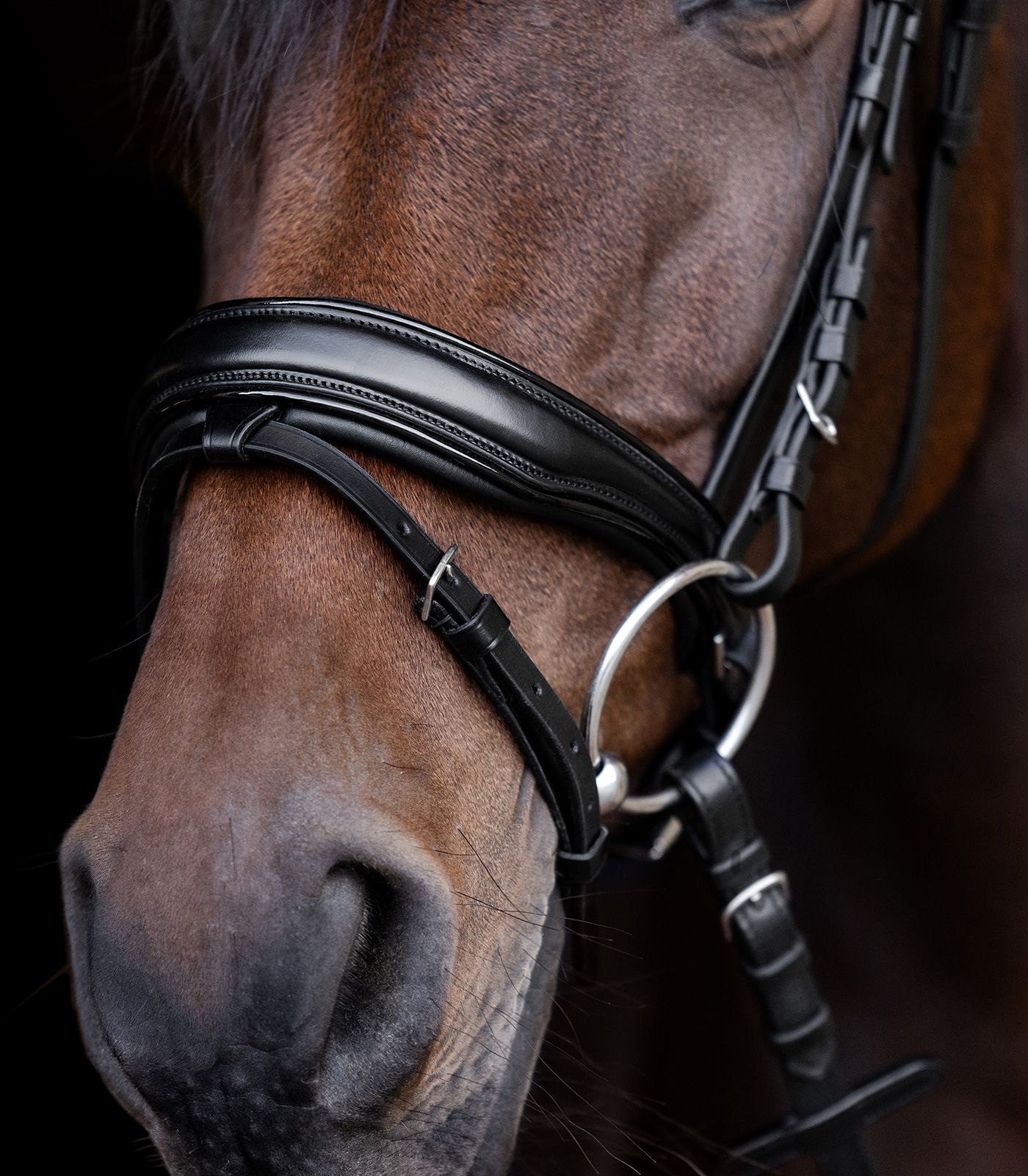 Waldhausen S-Line Bridle Blackshine, black, FULL