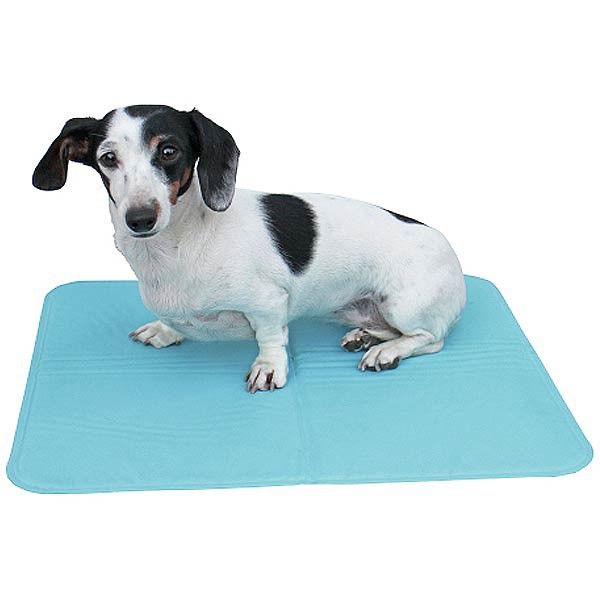 Hunde Kühlmatte COOL RELAX Pro 50x40 cm, im Einsatz