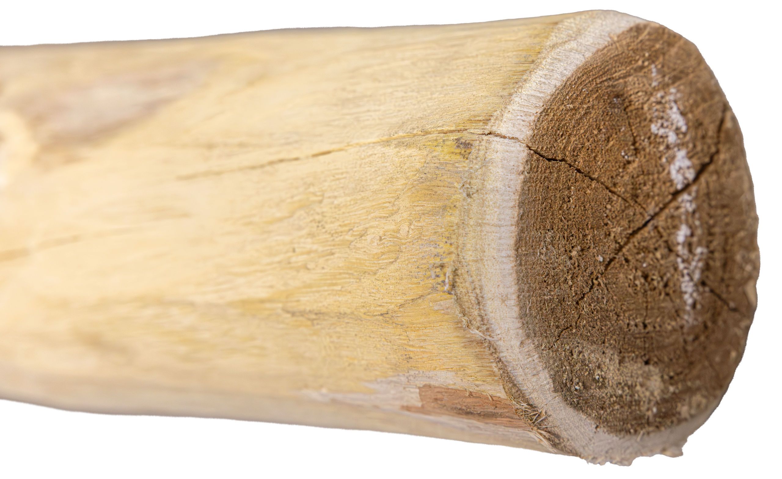 Holz, Stück Holz, Holzstamm, Baumstamm, Holzblock