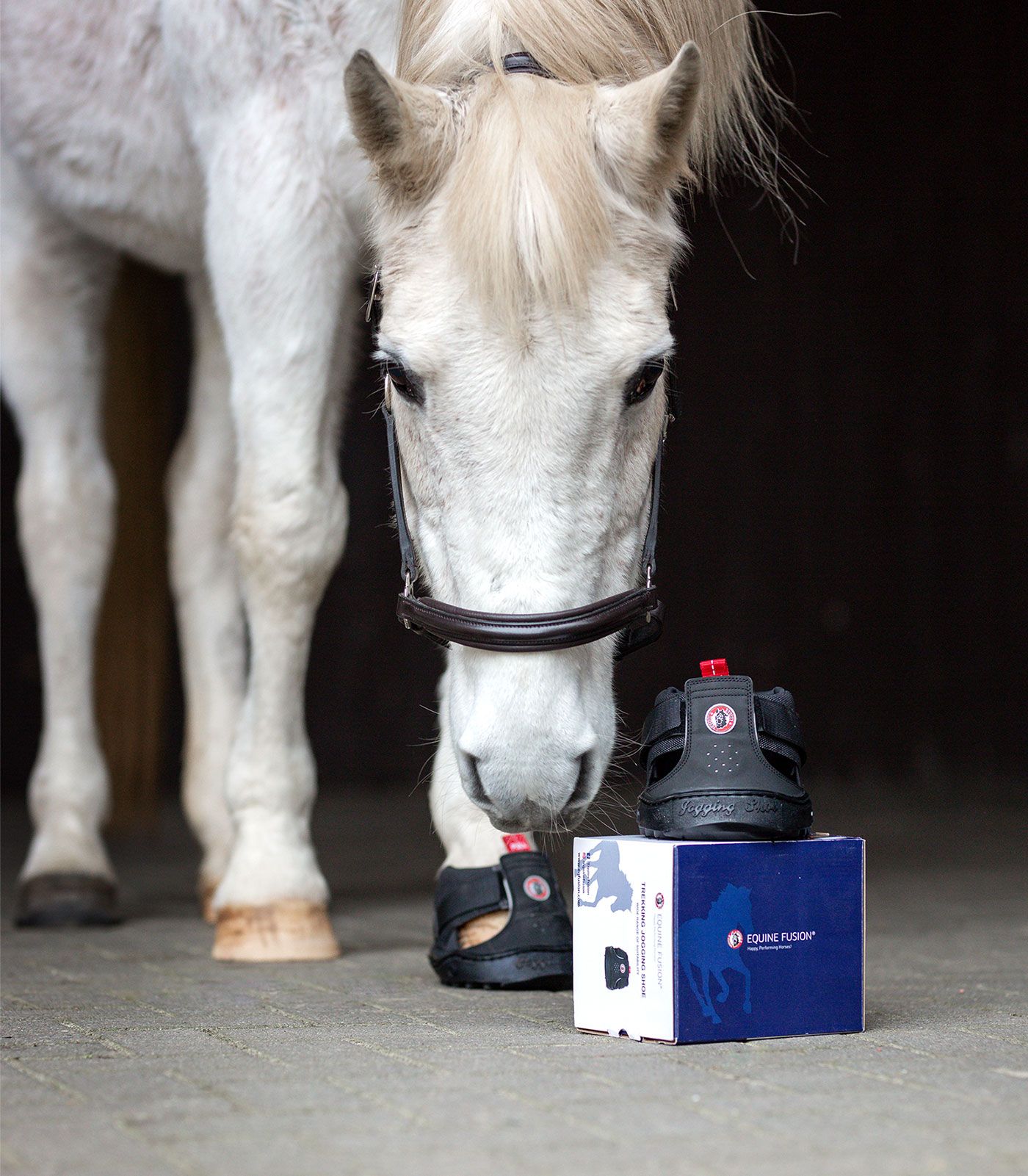 Equine Fusion Chausson de trekking, semelle grip et amorti, emballage