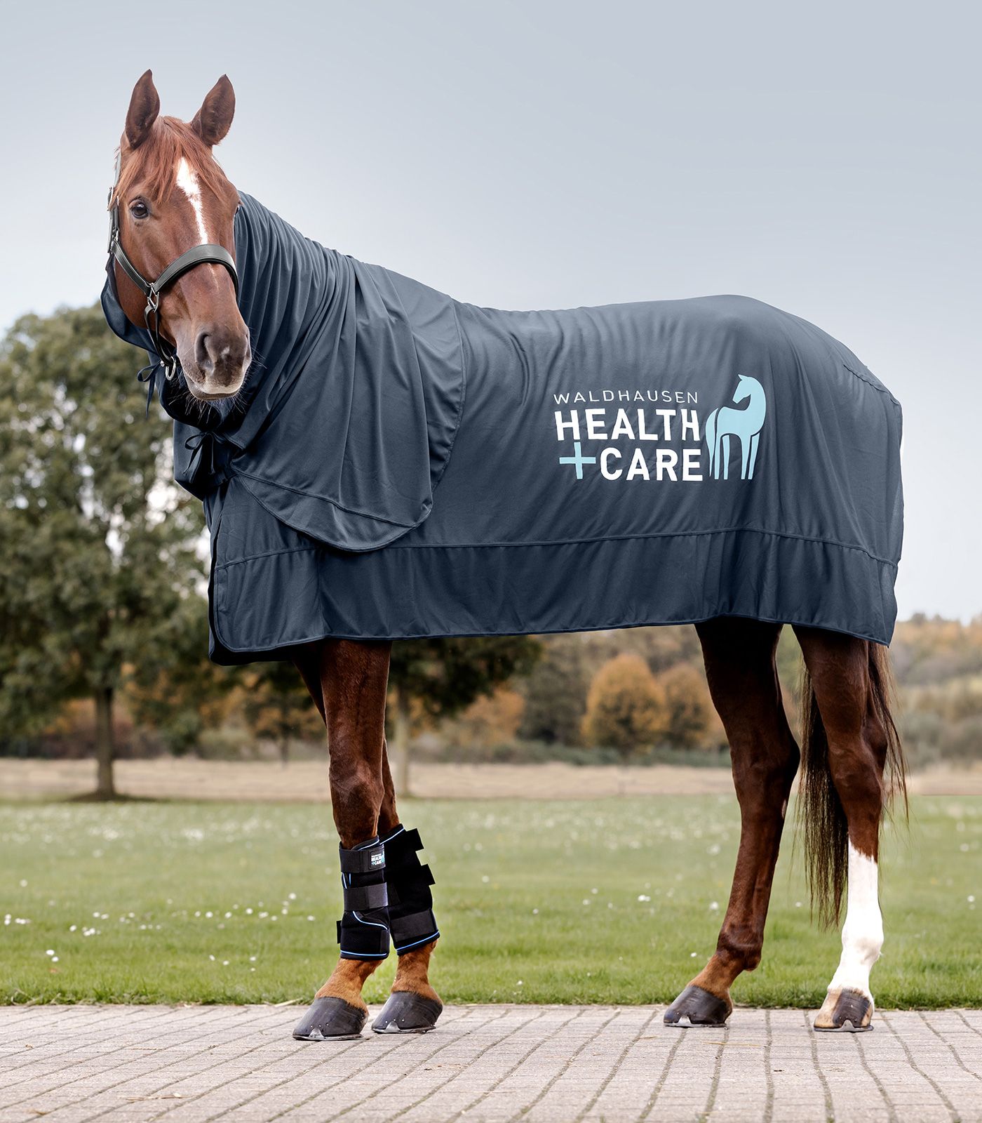 Waldhausen W-Health + Care Ice Layer Neckpiece, cooling neck wrap, midnight blue, in use, in the paddock