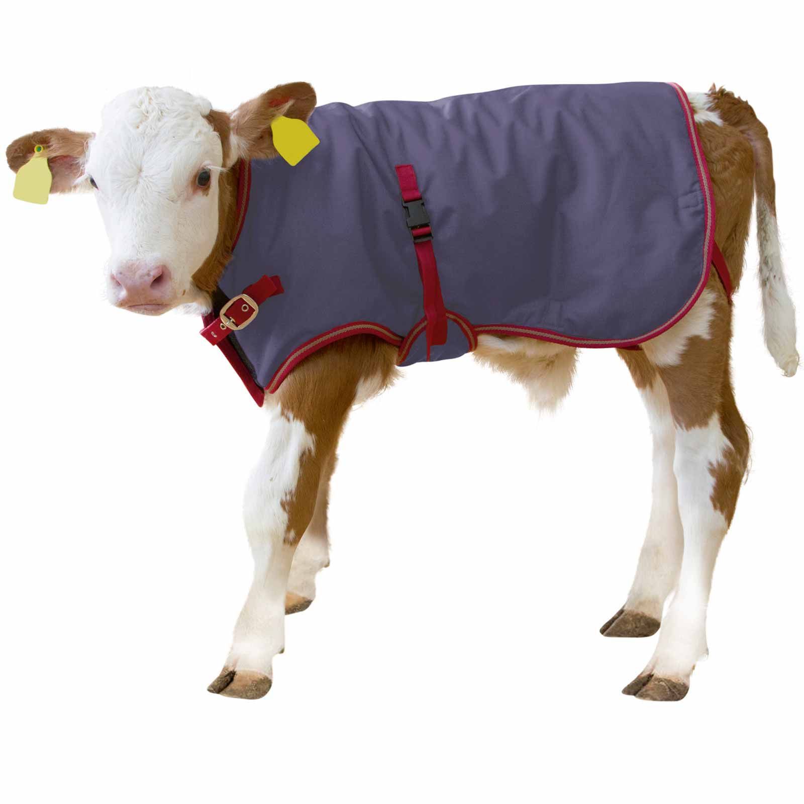Kerbl Kälberdecke ThermoPlus, wasserabweisend & atmungsaktiv, 80 cm