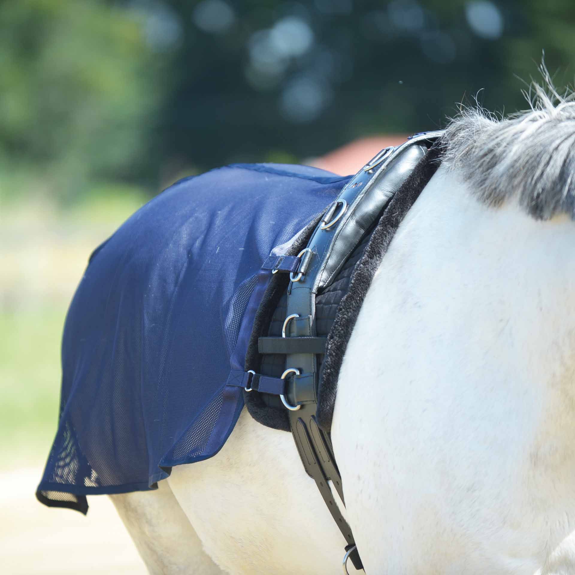 BUSSE Longierdecke FLY, Fliegenschutz für Longieren & Bodenarbeit, im Einsatz