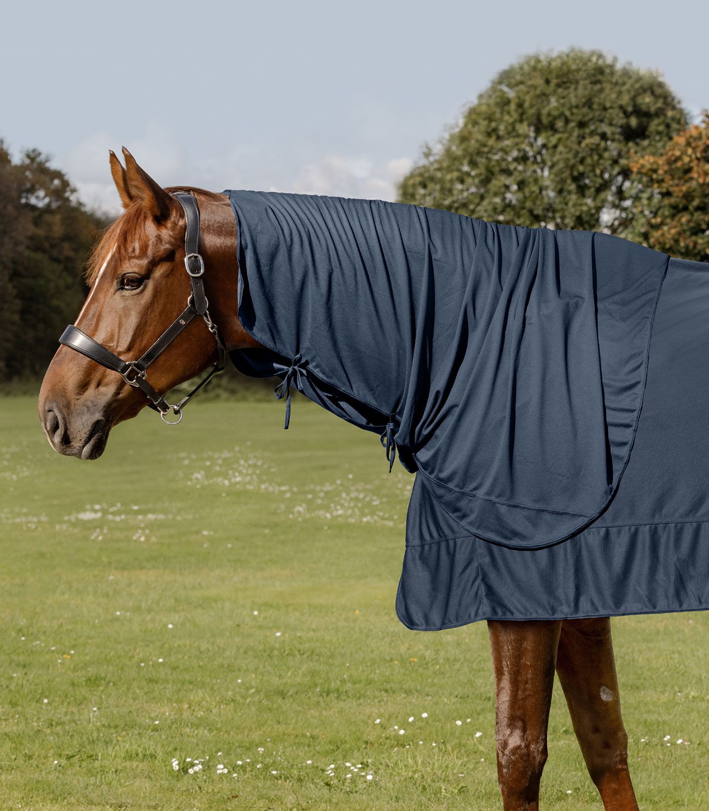 Waldhausen Couvre-cou Waldhausen W-Health + Care Ice Layer, bleu nuit, COB