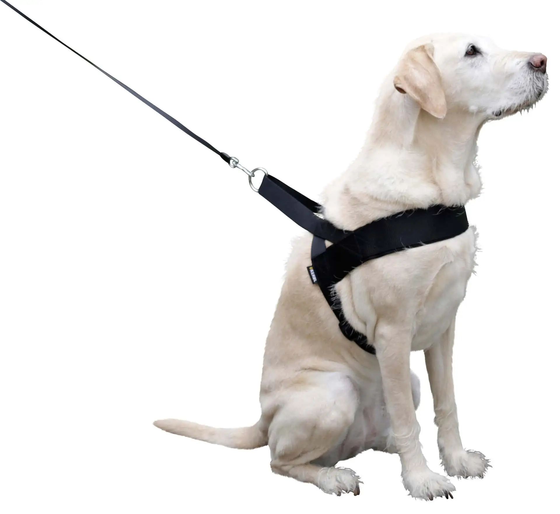 Hundegeschirr MIAMI PLUS