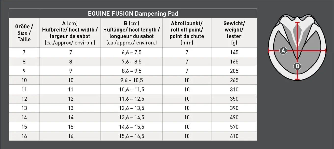Equine Fusion Active Jogging Shoe, hipposandale de trail flexible pour chevaux, guide des tailles