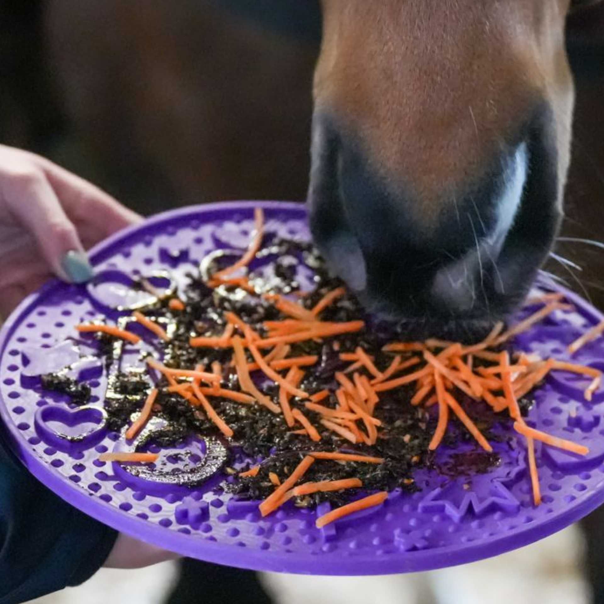 Likit Graze Maze purple