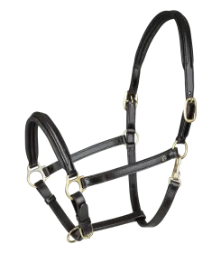 Schwarzes Halfter aus Leder mit goldfarbenen Metallringen und Schnallen