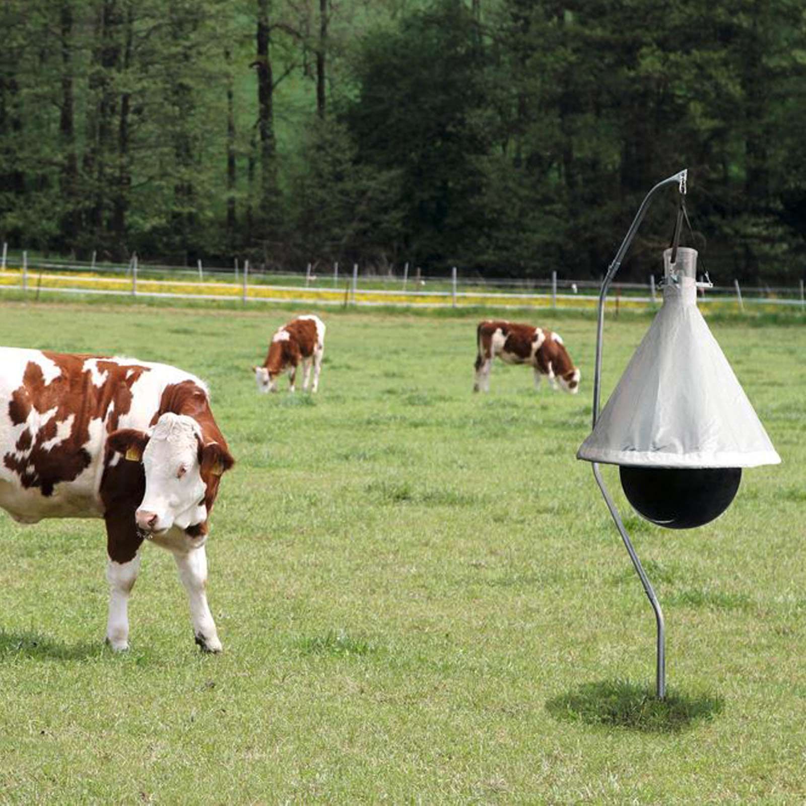 Piège à taons Agrarzone, en utilisation, au pré