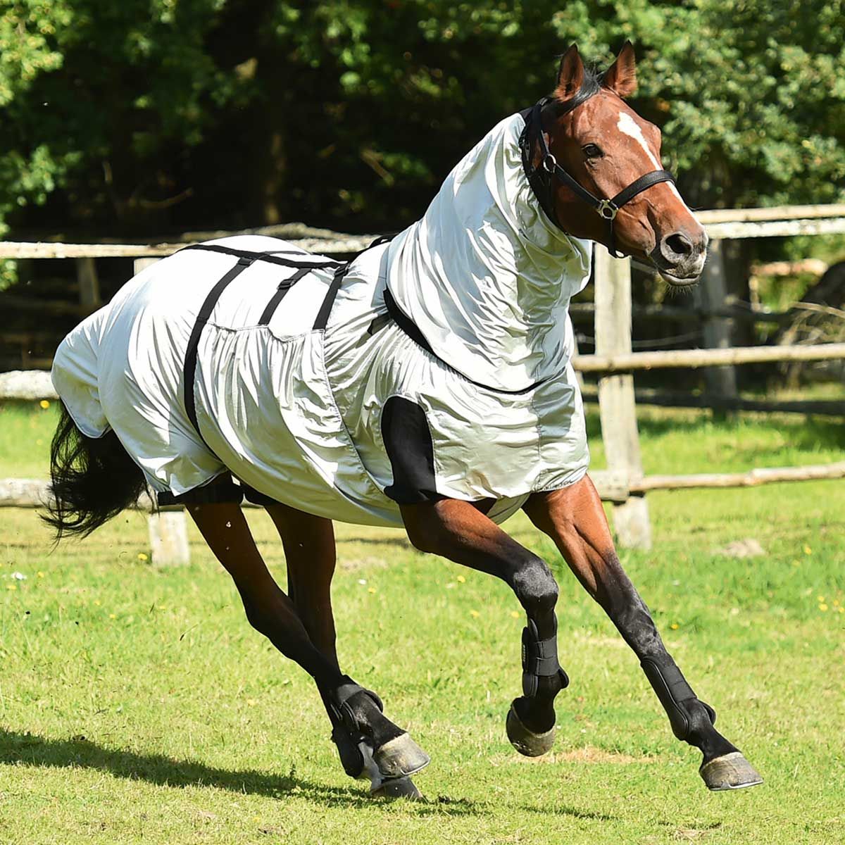 BUSSE Couverture anti-eczéma STRONG pour chevaux atteints de dermite estivale, argenté 85