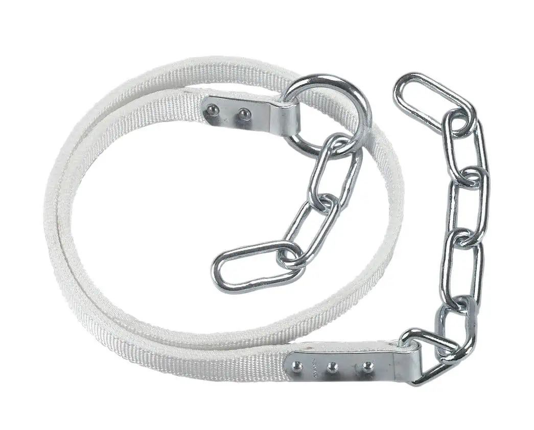 Attache pour bovins avec cosse métallique & anneau sur la sangle