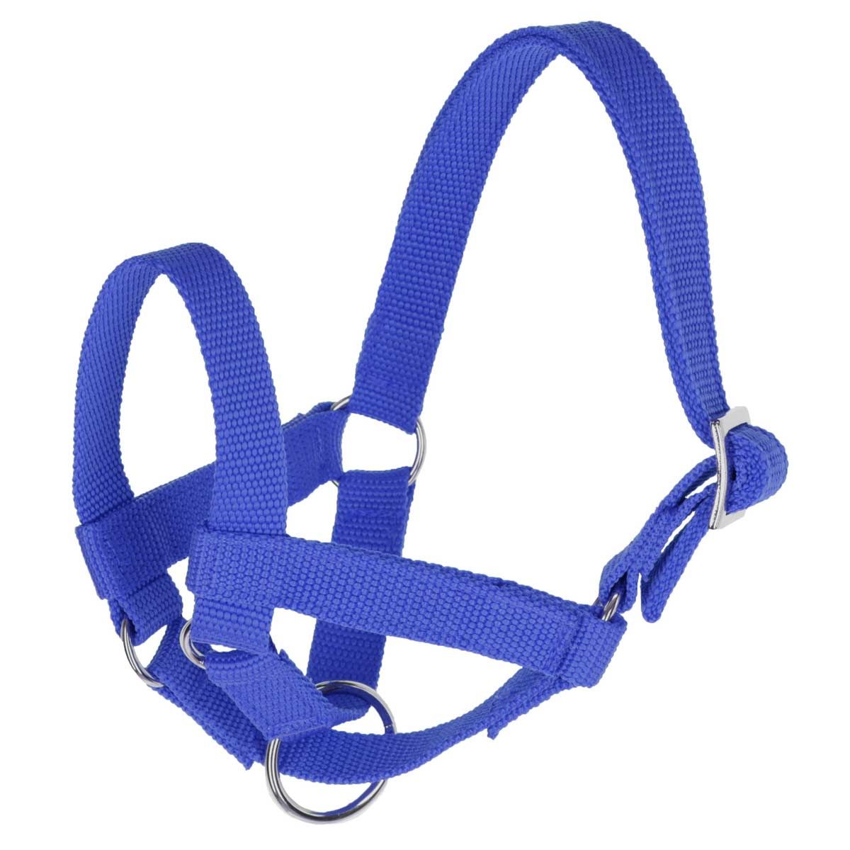 Lama halster storlek 60