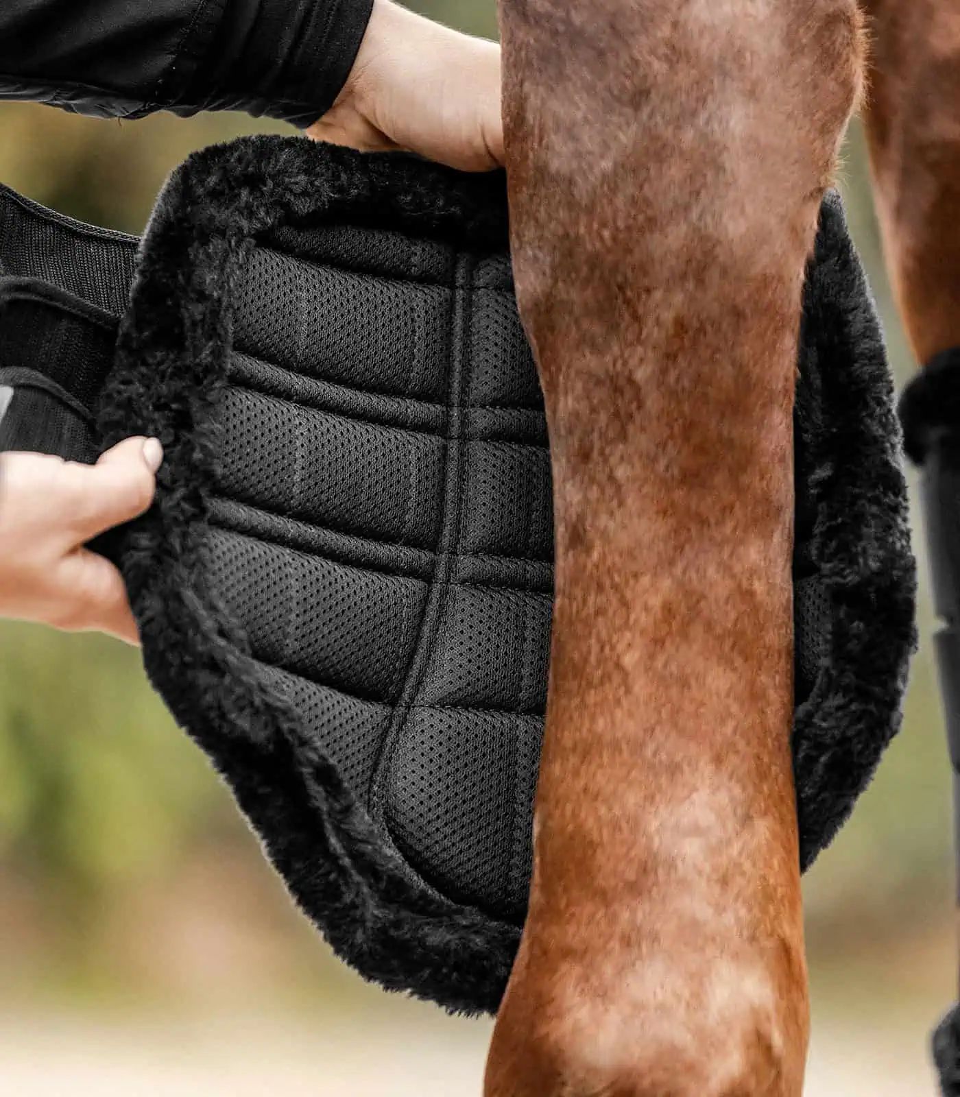 Guêtres de Dressage Waldhausen Comfort Light, Protection Antichocs, noir XL