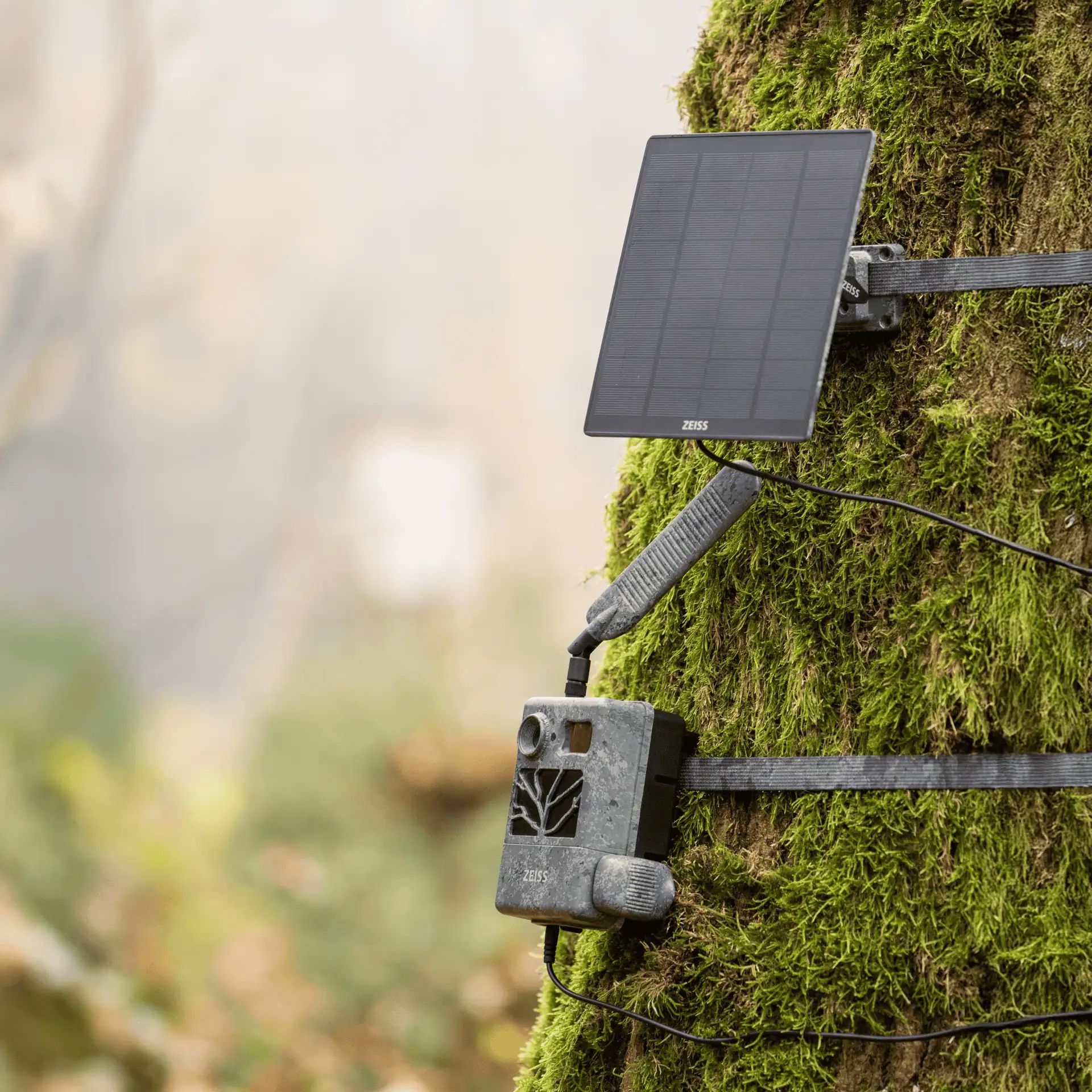 ZEISS Solar Panel for Secacam Trail Camera, Weatherproof IP66, in use